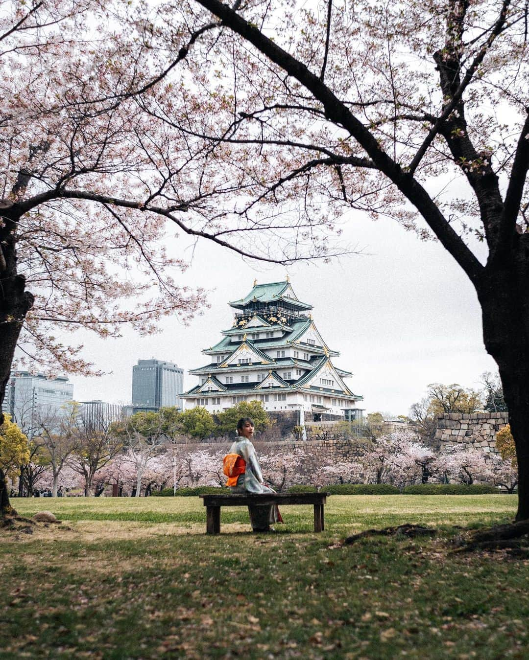 山口功貴のインスタグラム：「Overcast morning at Osaka castle, eating churros under the cherry blossoms while sitting on a bench we stole :)  w/ @nao_ik   #大阪城 #大阪 #kimono #osakacastle #picnic  #landscapephotography #photography #cityscapephotography #portraitphotography #portraitpage #portraits #osakajapan #osaka #castles #japanphotography #japan #voyaged #beautifuldestinations #lightroom」