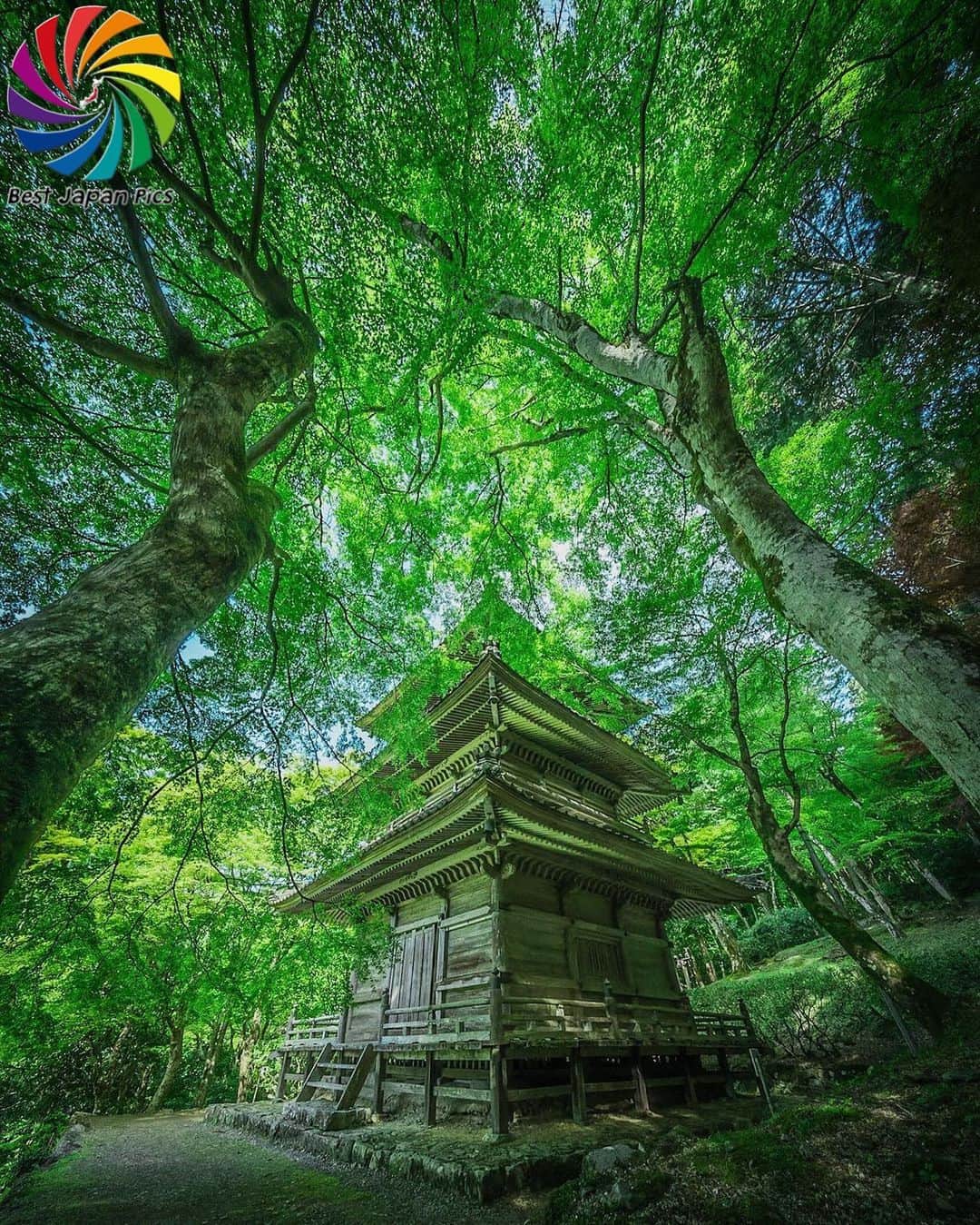 Follow & use #bestjapanpicsのインスタグラム：「＊---Today's Bestjapanpics---＊ . 👑Congrats to @naoya6555  素敵なお写真へのタグ付けありがとうございます✨ . 📷 Select by @ig__bee (Mod) 🗾 Location : 兵庫県 📎 Category : #新緑 #高源寺 #多宝塔 . . *Follow us @bestjapanpics_ . *Tag #bestjapanpics   . 撮影地の都道府県をキャプション・コメントタグ・ジオタグのいずれかに入れて下さい。 . @bestjapanpics_ では日本で撮られた素敵なお写真へのタグ付けをお待ちしています✨ . Select the amazing photos every day. ダグ付けをして頂い投稿の中から 素晴らしい写真を選出させていただきます。 . . 🤝Friend hub @factory_shotz 工場の写真 @setouchi_gram 瀬戸内の魅力を . . #japan #photo #camera #landscape #nature #portrait  #日本 #写真 #カメラ #風景 #自然 #ポートレート .」