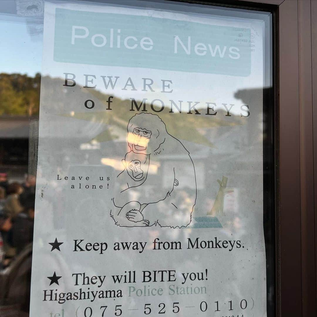 ジェニー・モレンさんのインスタグラム写真 - (ジェニー・モレンInstagram)「I wish I lived in a country where I could worry about monkeys instead of guns. #kyotojapan」4月23日 8時12分 - jennymollen