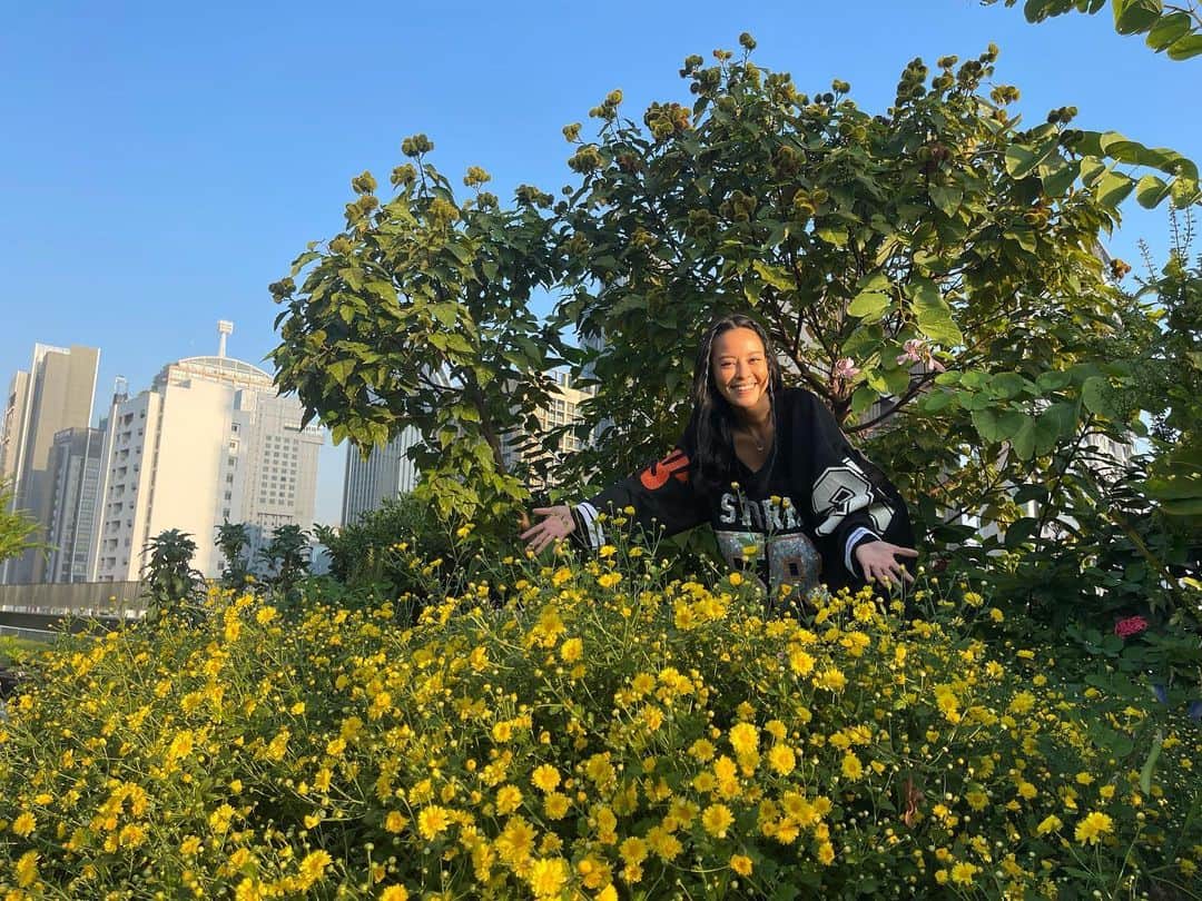 Amata Chittaseneeさんのインスタグラム写真 - (Amata ChittaseneeInstagram)「Happy 2nd Anniversary to #pearypieskygarden 🎉 We’re blessed with the urban green space in Bangkok, Thailand. It’s been a lot of hard work and we love what nature has taught us 🥰 Can’t wait to share more of this beautiful journey with all of you! Thank you for being so supportive in every single way!  Love u ❤️」4月23日 17時42分 - pearypie