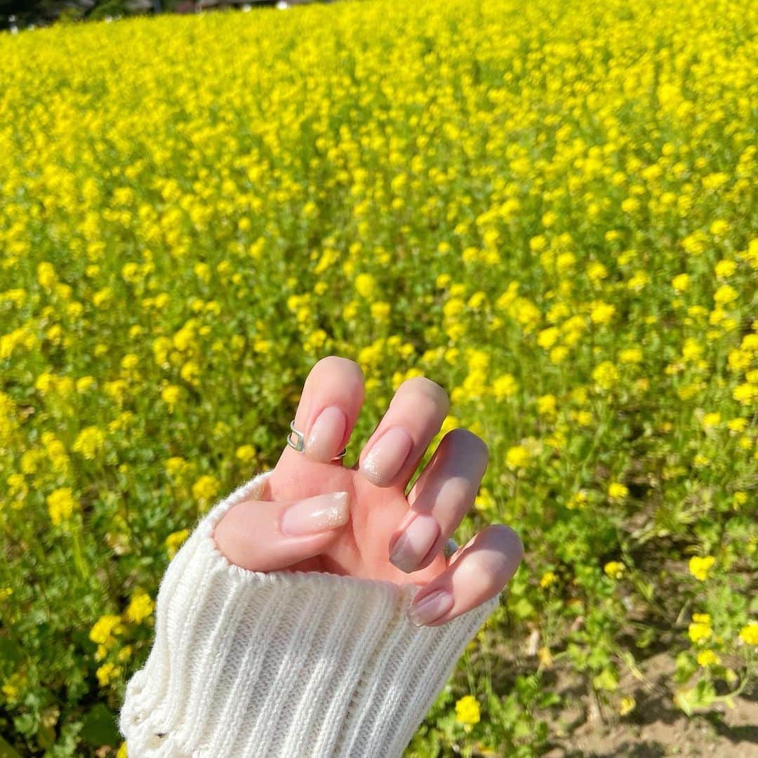 のインスタグラム：「. ねえ見て〜🤤 にゅーねいる、可愛すぎじゃない…？！😚♡  マグネットのフレンチ✨  @chipieee_nail_moeka さん、 ありがとうございます！♡  #chipieee #chipieeenail  #chipieeeebisu」
