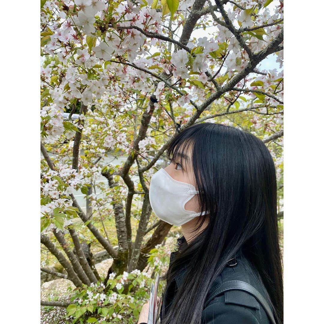 大島璃音のインスタグラム：「.  八重桜など様々な種類の桜を 楽しむことが出来ました🌸  また、やってみたかった写経や 記念御朱印など、、、 初めて参拝させていただいた仁和寺で 大満足の時間を過ごすことが出来ました🪷  #仁和寺　#京都旅行 #お花見  #御朱印　#写経」