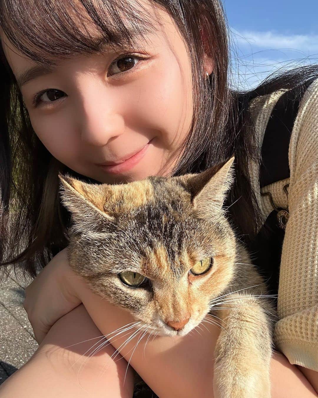 小池里奈さんのインスタグラム写真 - (小池里奈Instagram)「にゃん🐈  #cat  #catstagram  #猫  #ねこすたぐらむ」4月23日 17時58分 - koike_rina_93