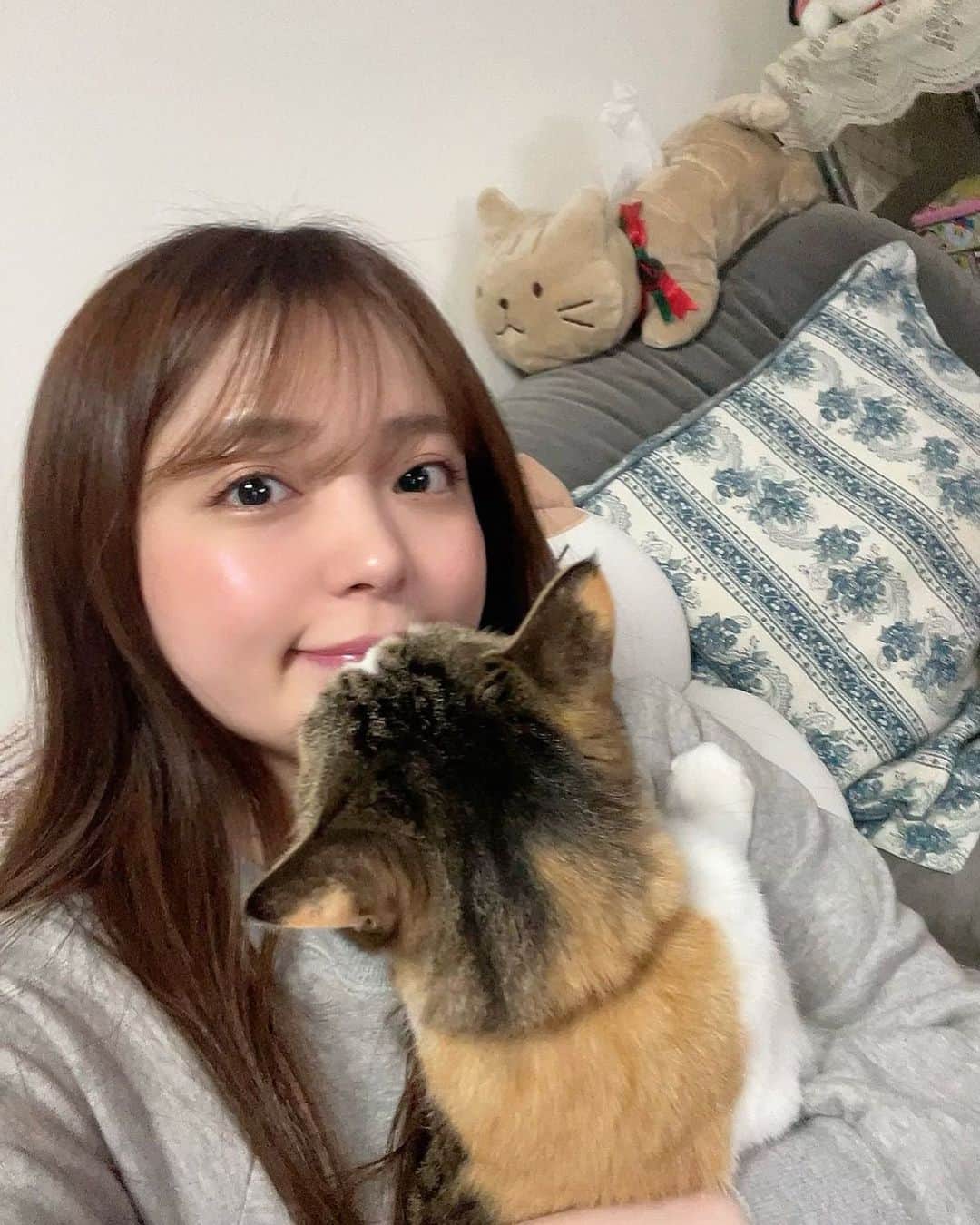 のインスタグラム：「. とっても平和な日曜日🥰 . . . #にゃむらむ #にゃんすたぐらむ #にゃんこ #ねこ #ねこすたぐらむ #猫 #猫のいる暮らし #cat #catstagram #catoftheday #catlife #catlover #catsofinstagram」