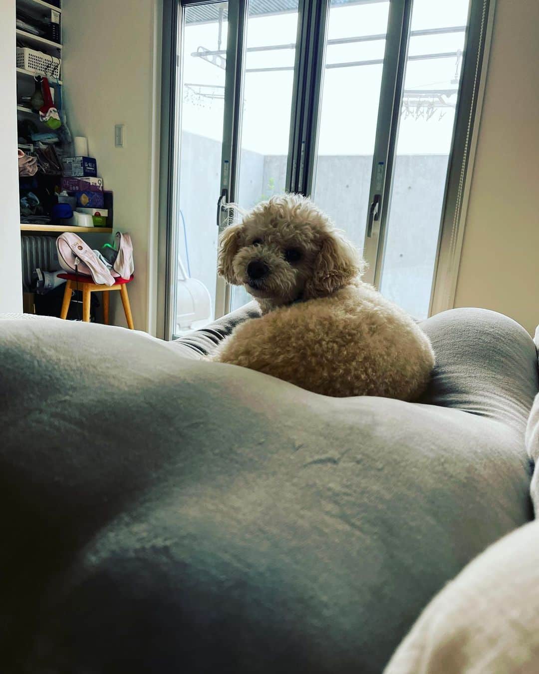 金村義明のグルメインスタ