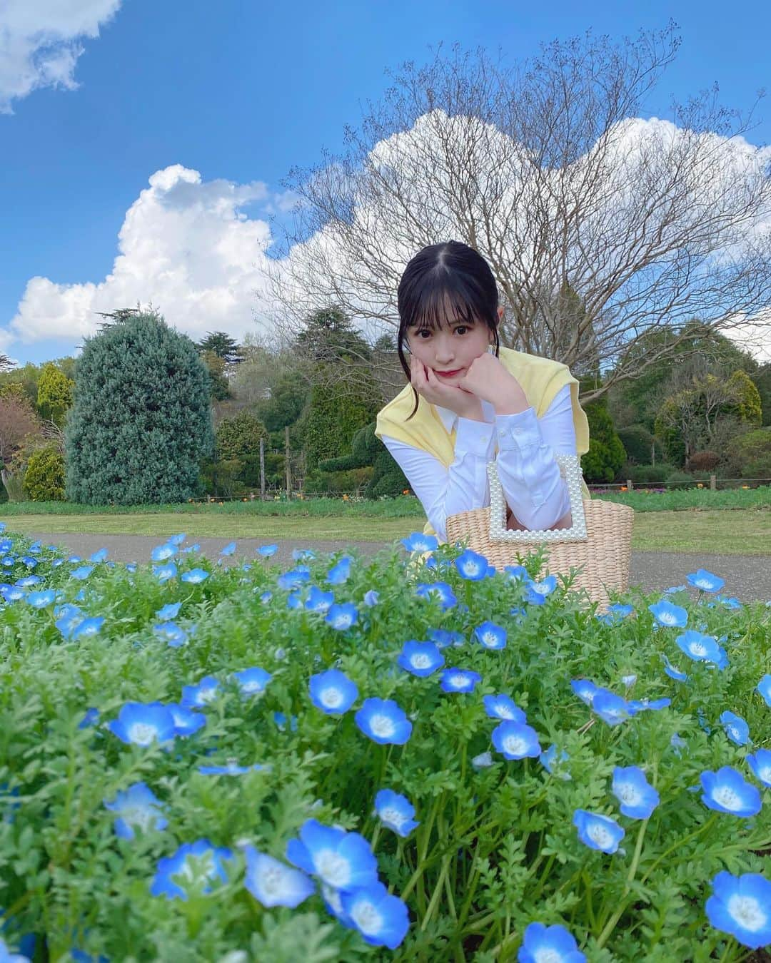 佐藤妃星さんのインスタグラム写真 - (佐藤妃星Instagram)「🦋🍀🩵  見に行った時、見頃はもう少し先だけど めちゃくちゃ綺麗に咲いてたネモフィラ🫶🏻  #akb48 #佐藤妃星 #00 #お花見 #ネモフィラ」4月23日 18時59分 - 8iikiichan