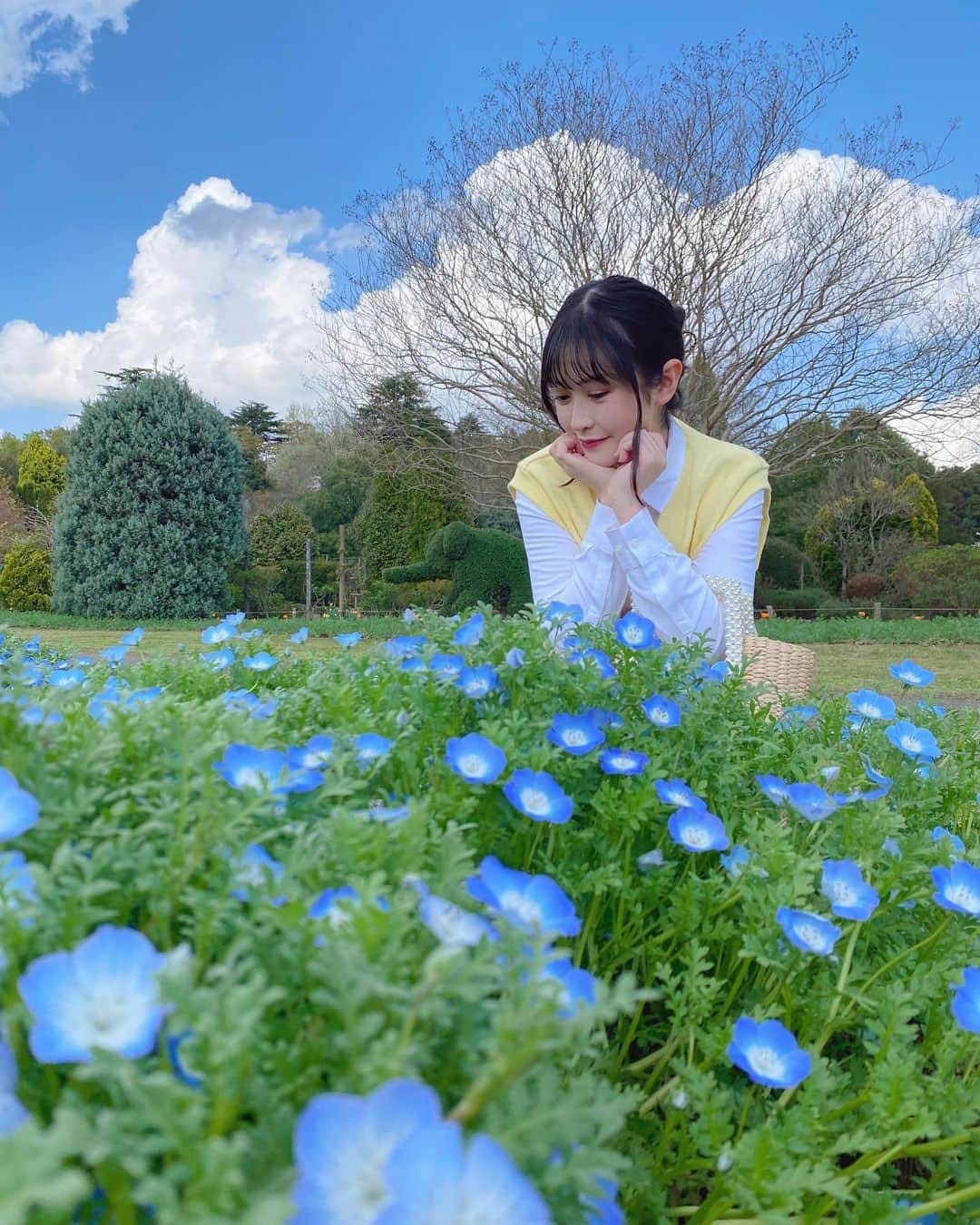 佐藤妃星のインスタグラム：「🦋🍀🩵  見に行った時、見頃はもう少し先だけど めちゃくちゃ綺麗に咲いてたネモフィラ🫶🏻  #akb48 #佐藤妃星 #00 #お花見 #ネモフィラ」