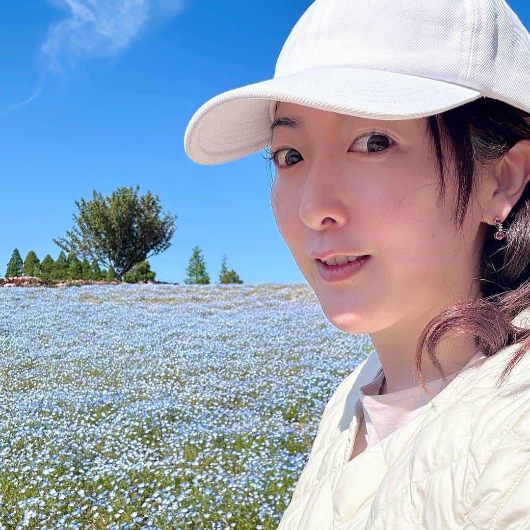 前田真里のインスタグラム：「グッモ❣️  いいお天気🤗朝からネモフィラ満開の 松本ツツジ園＠大村へ！  さ、これから選挙公報、熟読して 投票いってきま〜す‼️  お互いよい日曜日に なりますように🍀🍀🍀  #投票 日和💕 #みんなで政策かたらナイト」