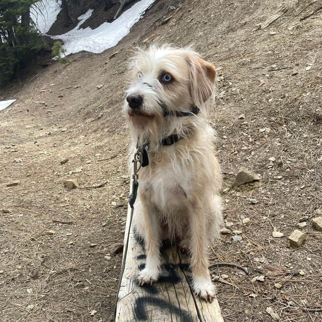 シーマス・デヴァーさんのインスタグラム写真 - (シーマス・デヴァーInstagram)「Apres Hike with some lovely people #happyearthday」4月23日 10時31分 - seamuspatrickdever