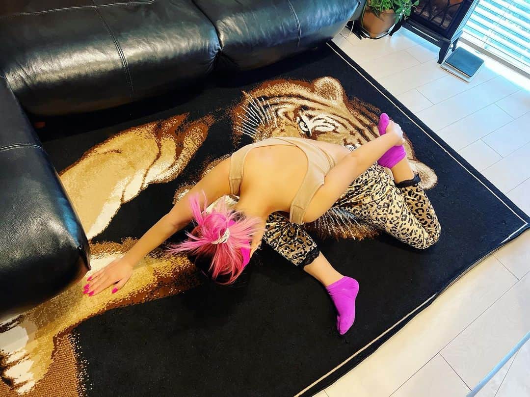 ニーコのインスタグラム