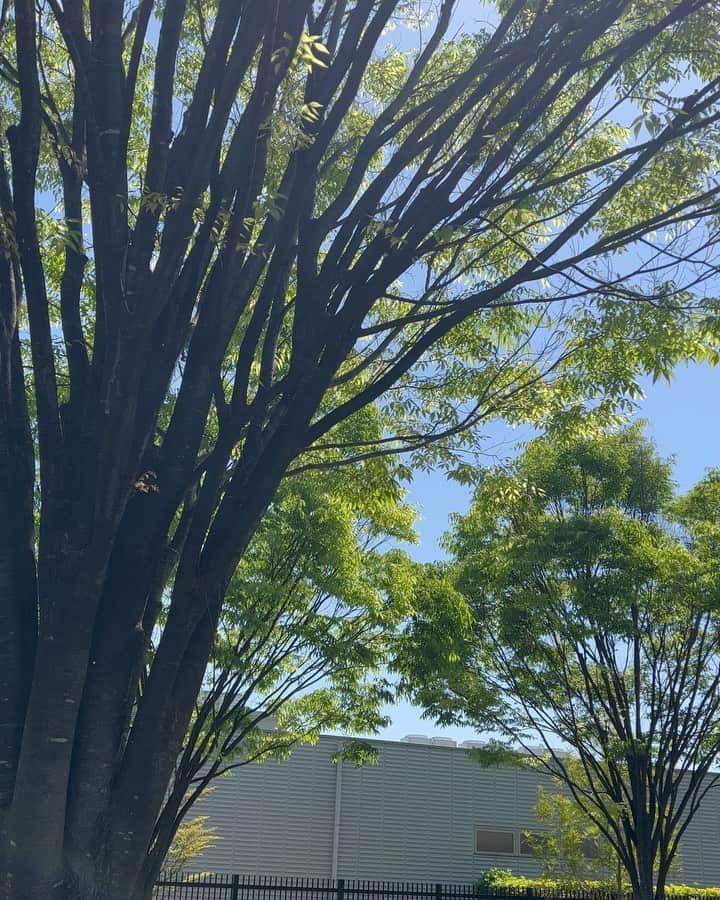 辻口博啓のインスタグラム