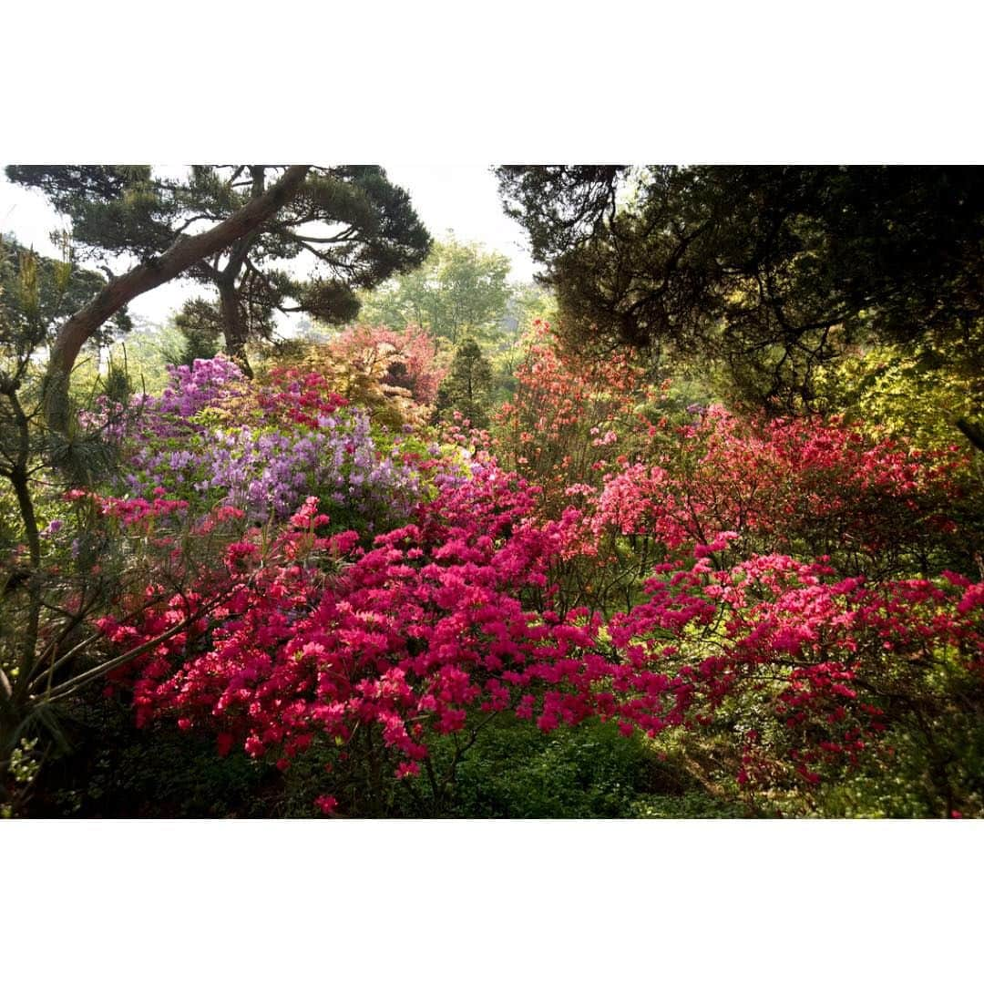 Gerd Ludwigさんのインスタグラム写真 - (Gerd LudwigInstagram)「Each year on April 22 we celebrate #EarthDay. We’re digging into @ThePhotoSociety Archive and celebrating our natural world! Beginning in 1970, Earth Day is seen as the birth of the modern day environmental movement. It has since grown to an annual global event— inspiring millions to care about the planet we live on. Visit the TPS Archive link in @thephotosociety to discover more of our incredible world.  Photo 1: Peter McBride @pedromcbride Photo 2: Michael Melford @MichaelMelford Photo 3: Joel Sartore @joelsartore Photo 4: Jodi Cobb @jodicobbphoto Photo 5: Gerd Ludwig @gerdludwig Photo 6: James Richardson @jimrichardsonng Photo 7: Christian Ziegler @christianziegler Photo 8: Melissa Farlow @melissafarlow Photo 9: Bruce Dale @brucedalephotography Photo 10: Richard H Stewart  #EarthDay #conservation #sustainability #climatechange」4月23日 11時07分 - gerdludwig