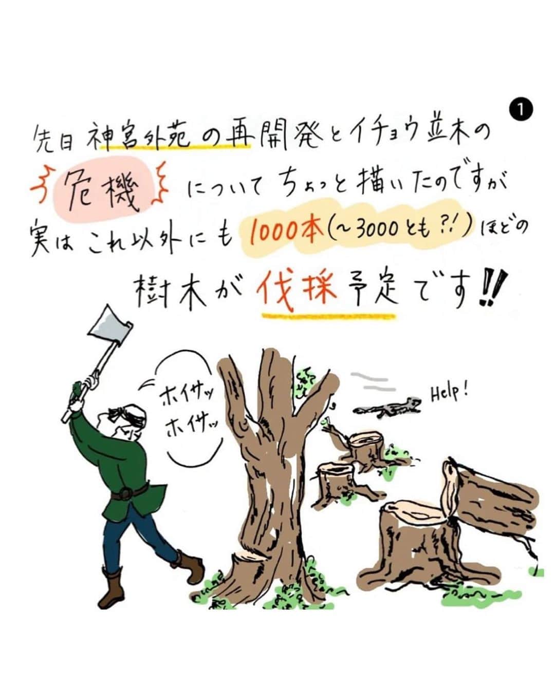 journaleatripのインスタグラム：「折角なので 分かり易くイラストにされていたのをお借りしました。 @ai_eye_art 🙏  1人の生涯が100歳と言われていますが 森がつくれる時間でもあるのですねぇ。 どの世代も楽しめる都会の森。 東京に 民間の人々から生まれた "都会の森"があるという事は 国際的にも大いに自慢できるシンボルの場所なのになぁ。  150年計画の今はまだ100年目辺り。  移植やら植林ちょろちょろしたところで森は作れないし環境変われば影が増えビル風は吹き荒れ根が断たれ..もろもろで木々は弱り枯れてゆき無くなりますね...。  この先も 東京のシンボルとして コウノトリやオオタカも寄りつく元気な木々が残りますように。  なので大賛成で生まれた計画に引き続き賛成なのです 🌱🌲🌳  神宮外苑1000本の樹木を切らないで～再開発計画は見直しを！ ↓↓↓ https://www.chng.it/78NTZD9gxB 先ず投票。  webでなければ署名を店舗にて承ります @eatripsoil   #木々と街と未来 #なんじゃもんじゃ　🌳 #神宮外苑の樹木伐採に反対します #神宮外苑の樹木を守りたい ホントは反対に反対 引き続きに賛成なのだがのぉ」