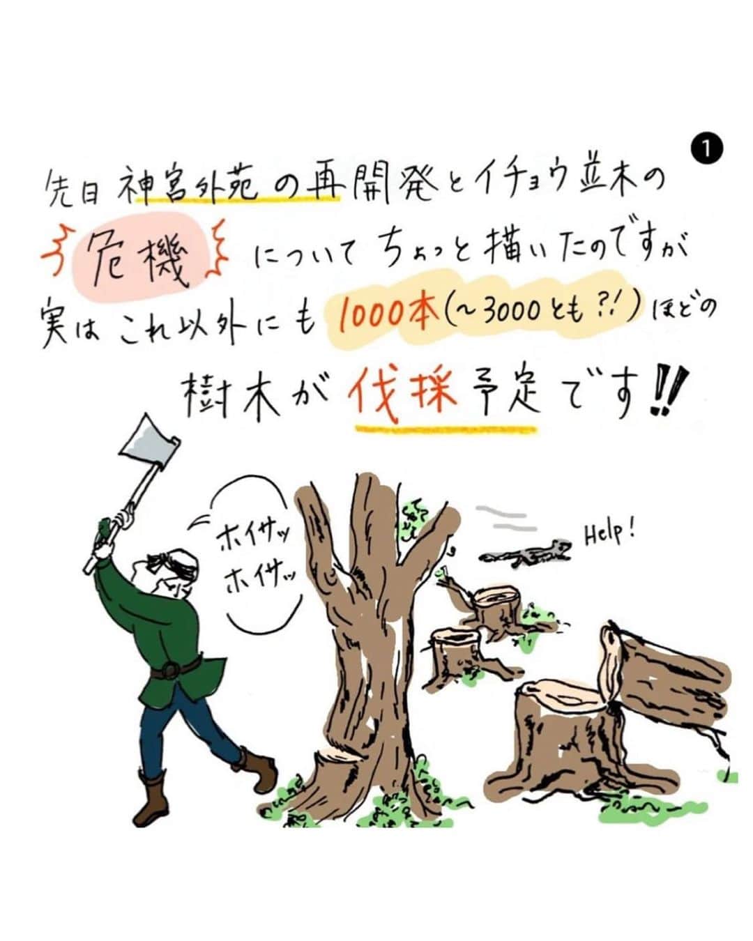 journaleatripさんのインスタグラム写真 - (journaleatripInstagram)「折角なので 分かり易くイラストにされていたのをお借りしました。 @ai_eye_art 🙏  1人の生涯が100歳と言われていますが 森がつくれる時間でもあるのですねぇ。 どの世代も楽しめる都会の森。 東京に 民間の人々から生まれた "都会の森"があるという事は 国際的にも大いに自慢できるシンボルの場所なのになぁ。  150年計画の今はまだ100年目辺り。  移植やら植林ちょろちょろしたところで森は作れないし環境変われば影が増えビル風は吹き荒れ根が断たれ..もろもろで木々は弱り枯れてゆき無くなりますね...。  この先も 東京のシンボルとして コウノトリやオオタカも寄りつく元気な木々が残りますように。  なので大賛成で生まれた計画に引き続き賛成なのです 🌱🌲🌳  神宮外苑1000本の樹木を切らないで～再開発計画は見直しを！ ↓↓↓ https://www.chng.it/78NTZD9gxB 先ず投票。  webでなければ署名を店舗にて承ります @eatripsoil   #木々と街と未来 #なんじゃもんじゃ　🌳 #神宮外苑の樹木伐採に反対します #神宮外苑の樹木を守りたい ホントは反対に反対 引き続きに賛成なのだがのぉ」4月23日 11時17分 - eatripjournal