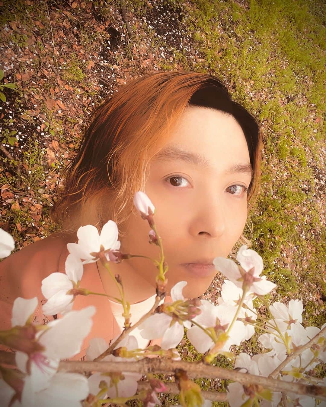 のインスタグラム：「#ENDRECHERI」