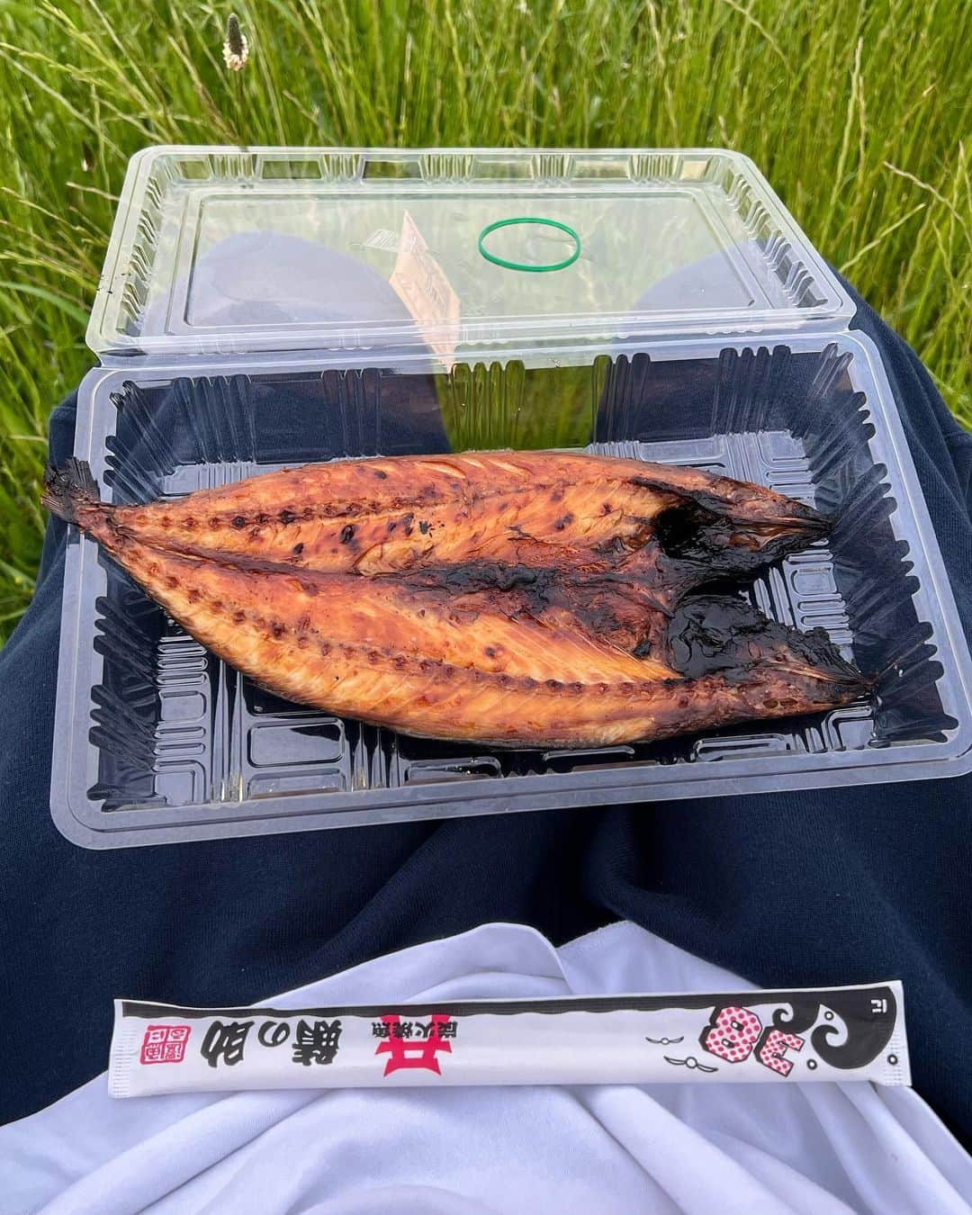 内田朝陽さんのインスタグラム写真 - (内田朝陽Instagram)「焼き魚ピクニックin江戸川 作曲家の大先輩と美味しい探索会🍽 今回は焼き鯖 すっかりお店のファンになってしまいました。 大将が煙の奥で魚を焼いてる姿がカッコ良すぎました。 手作りのお惣菜も優しくて美味しくて。 江戸川で寅さんのサントラ聴きながら、ゆっくり食べました🐟 とても贅沢な時間でした。  #日本食 #弁当屋 #焼き魚 #塩鯖 #炭火焼き  #japan #japanesefood  #bento  #江戸川」4月23日 12時45分 - asahi_uchida