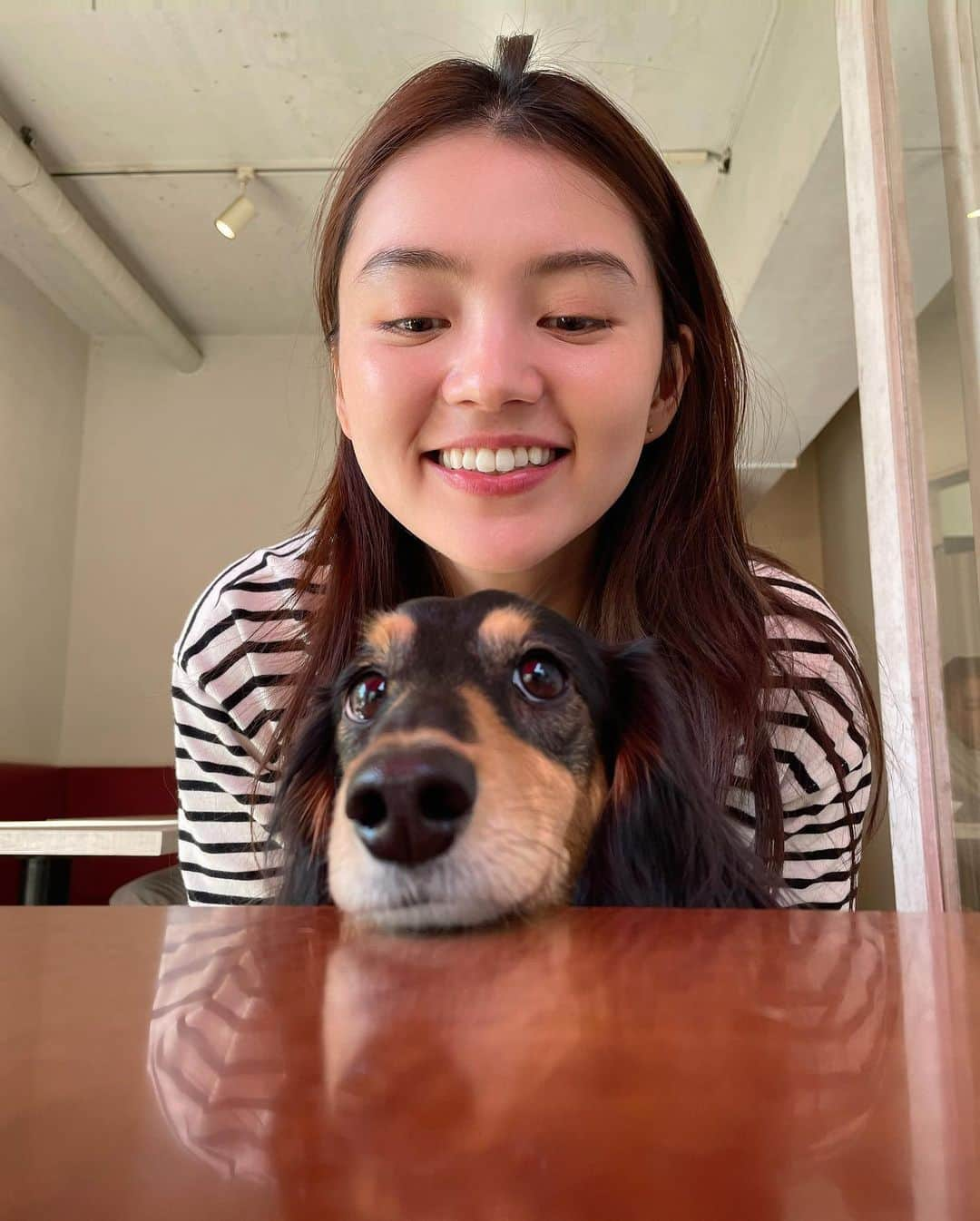 高原愛さんのインスタグラム写真 - (高原愛Instagram)「可愛いモモとの毎日🐕🌿🫶💕 Momo always makes me happy🥰 Love~~~~~😙🫶💕💕💕  #doglover#dogslife#dogstagram#minidachshund#dachshund#いぬすたぐらむ#いぬのいる暮らし#短足部#ミニチュアダックスフンド#🐕#🌿#💕」4月23日 12時54分 - ai_takahara_ai