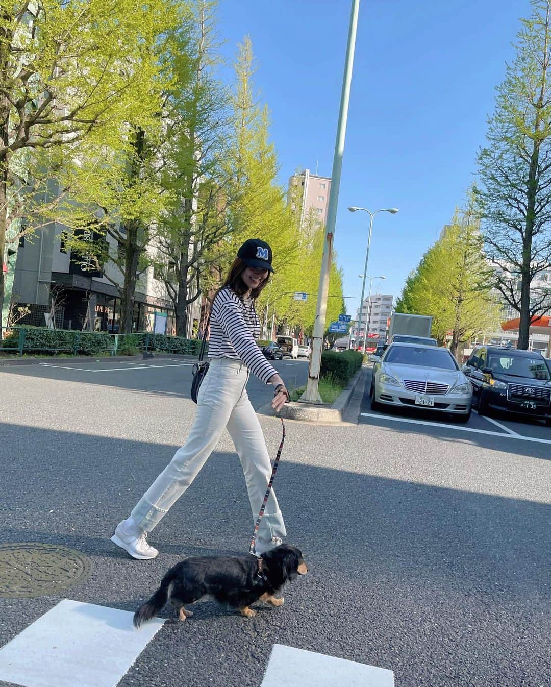 高原愛のインスタグラム：「可愛いモモとの毎日🐕🌿🫶💕 Momo always makes me happy🥰 Love~~~~~😙🫶💕💕💕  #doglover#dogslife#dogstagram#minidachshund#dachshund#いぬすたぐらむ#いぬのいる暮らし#短足部#ミニチュアダックスフンド#🐕#🌿#💕」