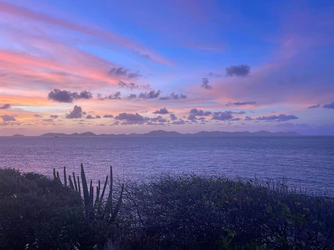 ミッシェルジョナスのインスタグラム：「#paradise 💙✨」
