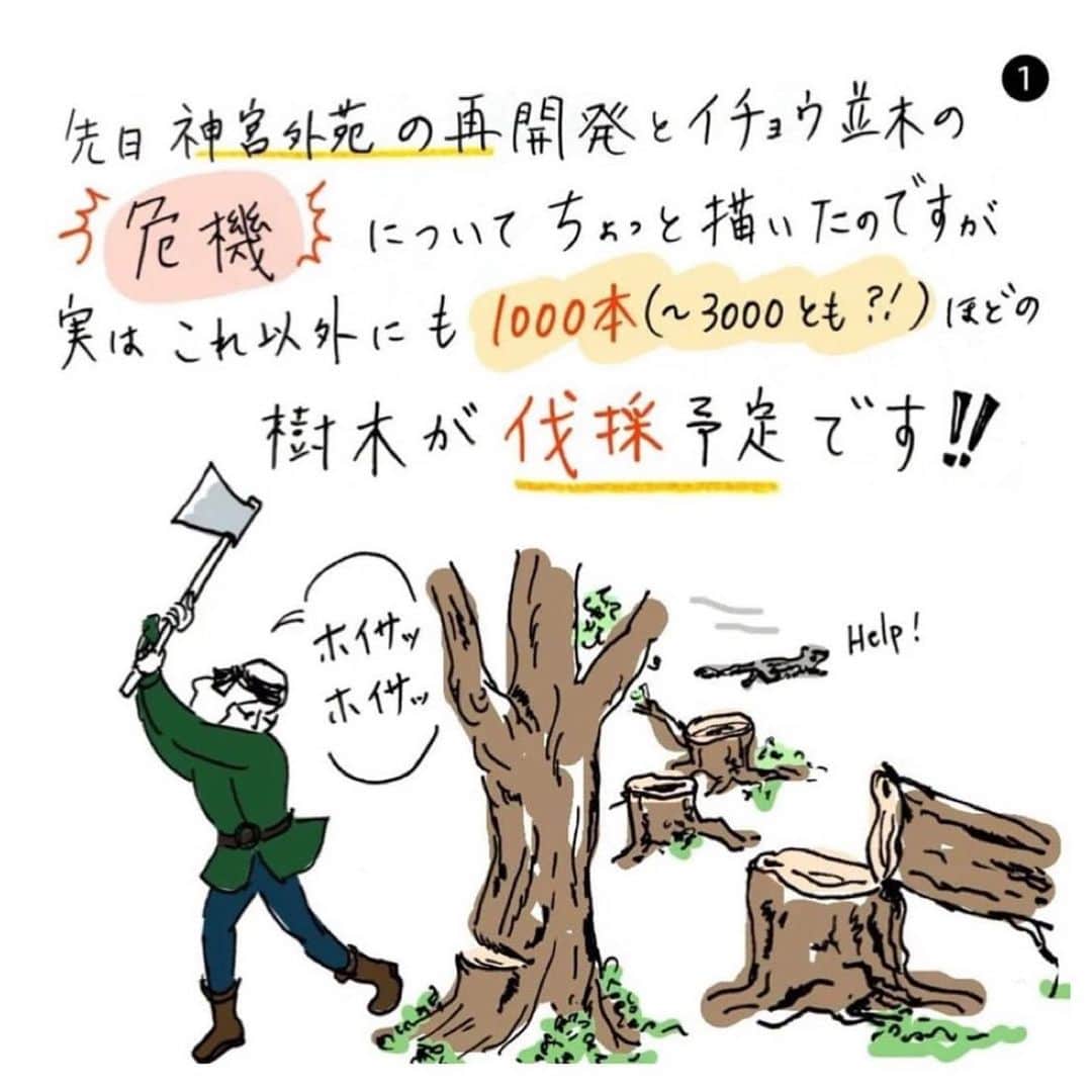 HiRAO INCのインスタグラム：「. 木も私たちと同じ生命を持っています。 美しい森を残してほしい。  Repost from @eatripjournal • 折角なので 分かり易くイラストにされていたのをお借りしました。 @ai_eye_art 🙏  1人の生涯が100歳と言われていますが森がつくれる時間なのですねぇ。 どの世代も楽しめる都会の森。 東京に 民間の人々から生まれた "都会の森"があるという事は 大いに自慢できるシンボルの場所なのになぁ。  150年計画の今はまだ100年目辺り。  移植やら植林ちょろちょろしたところで森は作れないし環境変われば陰が増えビル風のあおり、根が断たれるもろもろで枯れていき弱り無くなりますね...。  この先も 東京のシンボルとして コウノトリやオオタカも寄りつき元気な木々が残りますように。  なので大賛成で生まれた計画に引き続き賛成なのです 🌱🌲🌳  https://www.chng.it/78NTZD9gxB #木々と街と未来 #なんじゃもんじゃ　🌳」