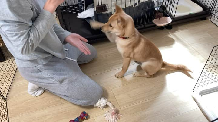 ねりお弘晃のインスタグラム