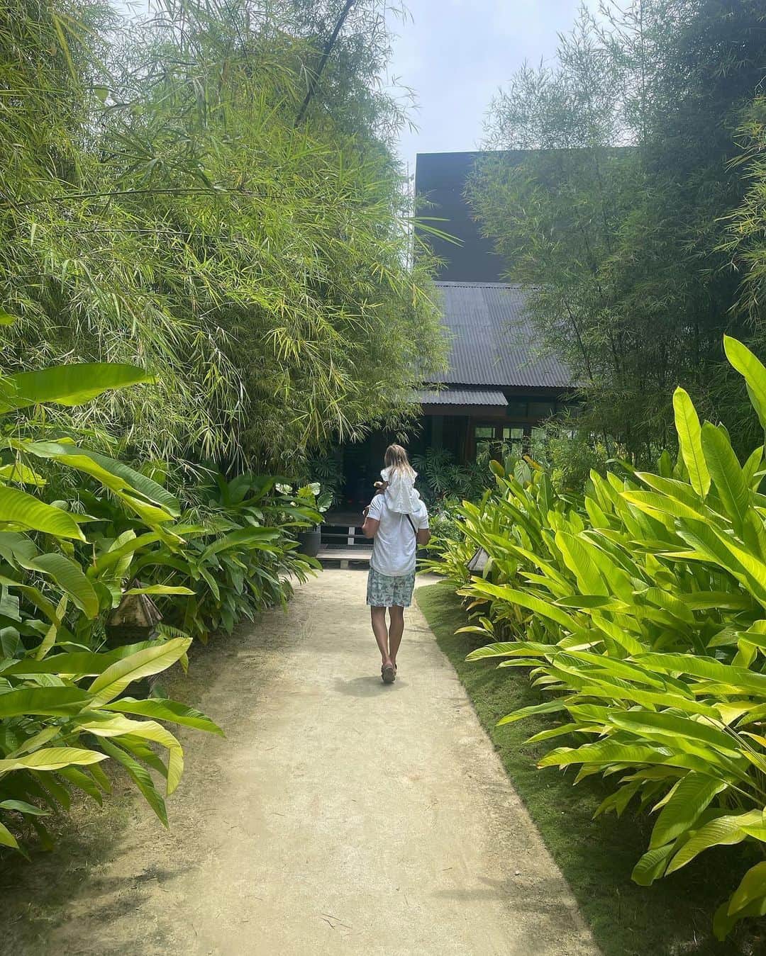 のインスタグラム：「Postcards 🌴」