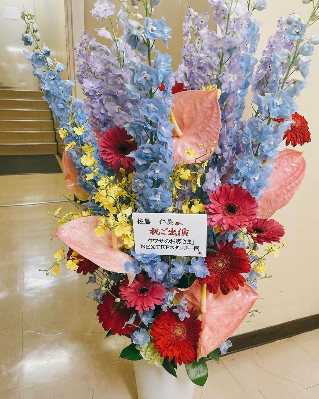 佐藤仁美のインスタグラム