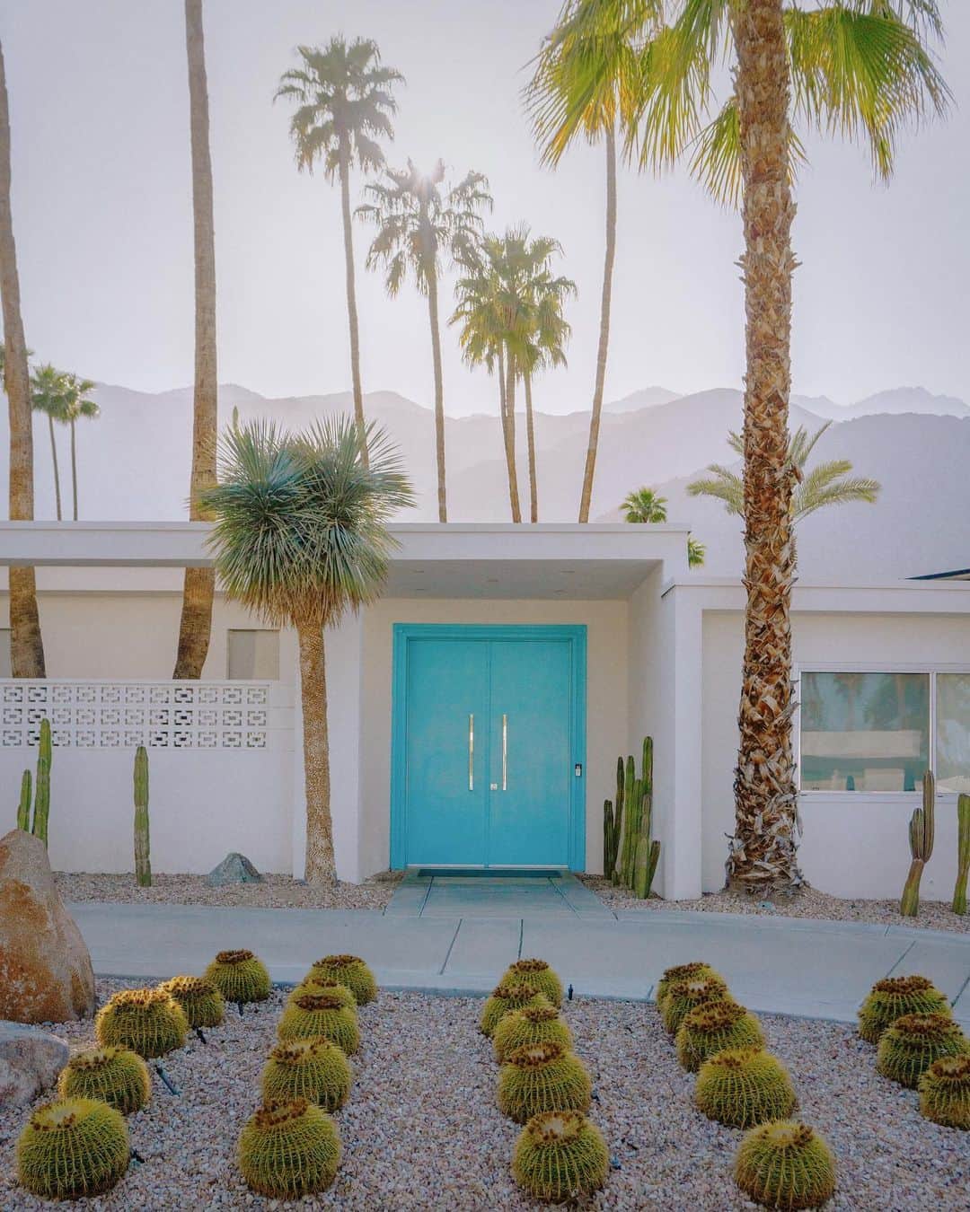 タラ・ミルクティーさんのインスタグラム写真 - (タラ・ミルクティーInstagram)「Doorway spotting in Palm Springs 🫡💓🚪」4月23日 14時40分 - taramilktea