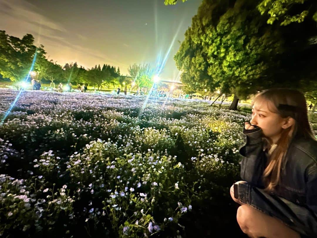 自見彩さんのインスタグラム写真 - (自見彩Instagram)「🦋💙 . . 夜見る花も綺麗だった~🏃‍♂️」4月23日 14時42分 - z_by.saya0018