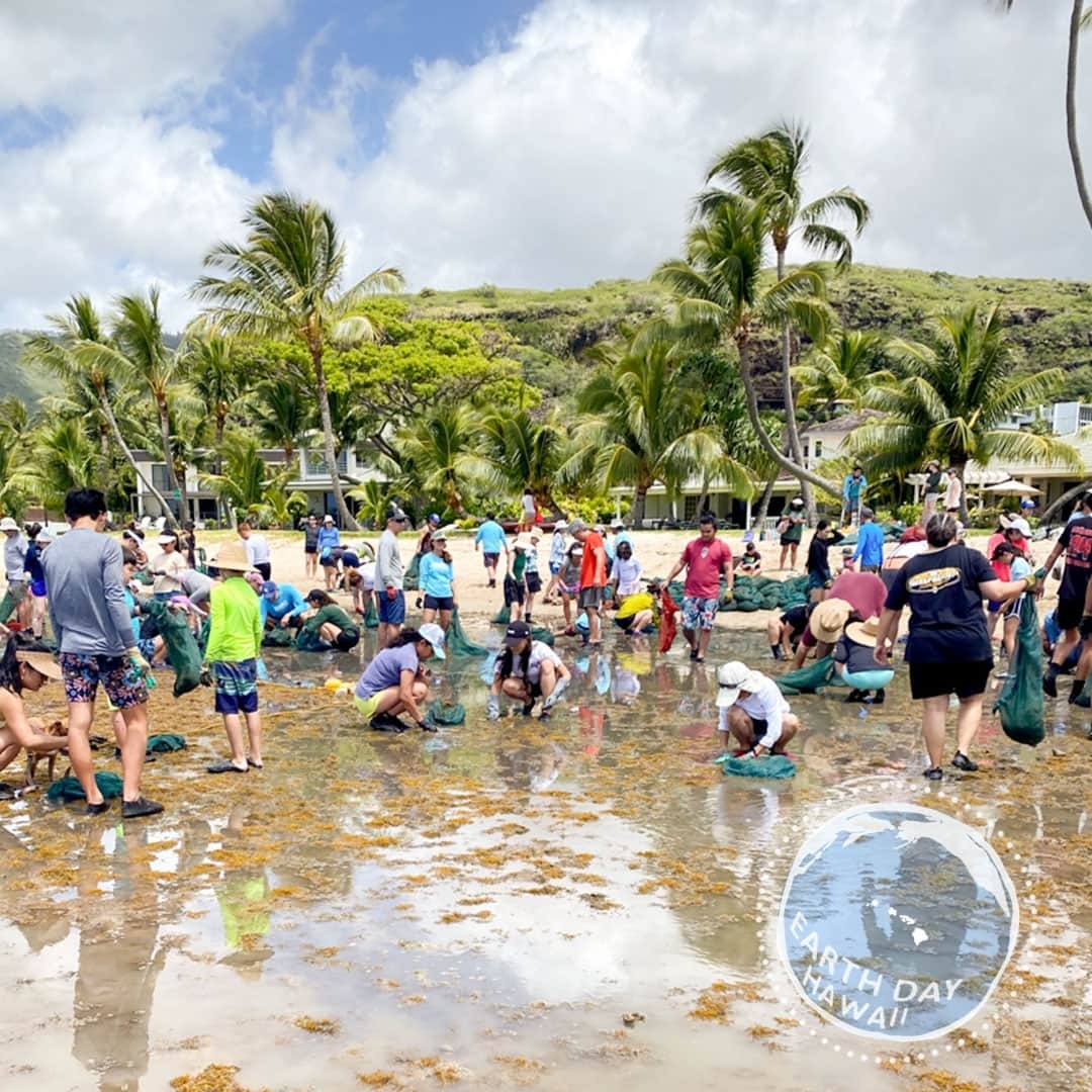 Luxury Cruise by Captain Bruceさんのインスタグラム写真 - (Luxury Cruise by Captain BruceInstagram)「Earth Day! 🌎 ⁠ 今日はハワイのサンゴ礁にダメージを与えている外来種の藻類などを除去しました。 ⁠ 除去することでそれがまた成長するのを抑えるのです。 本日の活動を通してハワイの海の保全に取り組んでいきたいと思います！⁠ ⁠ #mahalo @malamamaunalua⁠ ⁠ #malamamaunalu #maunaluabay #aloha #hawaii #earthday⁠ #captainbrucehawaii」4月23日 15時12分 - cptbruce_hi