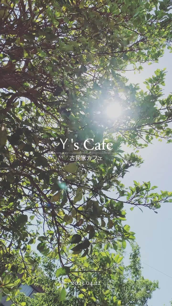 MIMIのインスタグラム：「🌿☀️☕️  おしゃれ〜な 古民家カフェ🏠✨  @yscafe2017  外が気持ちいい季節☺️☀️   #熊谷カフェ  #熊谷 #埼玉カフェ #埼玉県 #Saitama #SaitamaCafe #yscafe  #ワイズカフェ #古民家カフェ #古民家Cafe #cafelover  #カフェ好き #cafe  #かふぇすたぐらむ  #genic_mag  #genic_cafe  #genic_food  #genic_japan  #tabijyo_cafe  #tabijyomap_japan  #tabijyomap_Saitama #タビジョ #mimitrip_2023  #木漏れ日 #☀️」