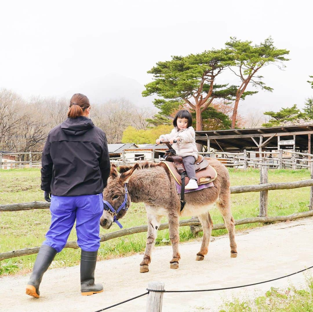 鶴田真梨さんのインスタグラム写真 - (鶴田真梨Instagram)「那須旅行🐴 雨が降ってダウン必要なくらい寒かった..子供達はロバに乗れて大喜び！」4月23日 16時45分 - mari_tsuru