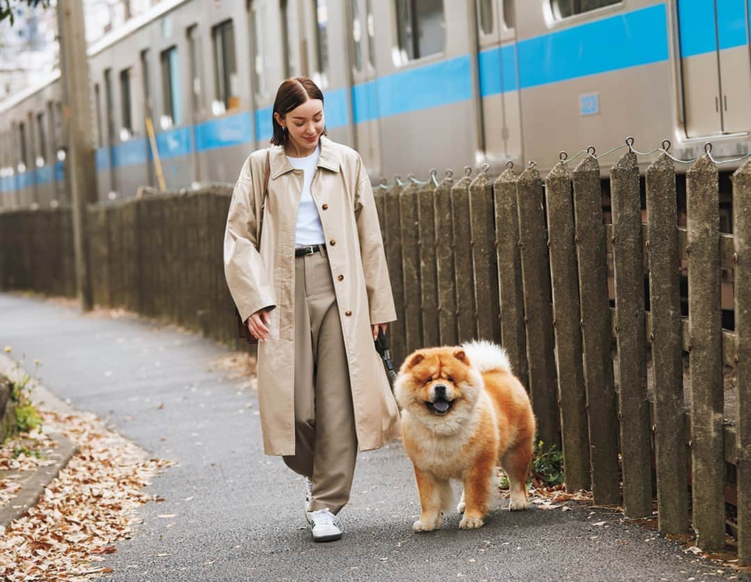 &Premium [&Premium] magazine.さんのインスタグラム写真 - (&Premium [&Premium] magazine.Instagram)「愛犬と一緒だとより楽しみが広がる、朝の散歩。早起きして、15組の歩みを眺めてみました。クリエイティブディレクターのMARY（@_bobmary）さんは、チャウチャウのボブと。「早朝、1時間くらい、途中、赤信号では座って待ち、道行く人に『可愛い〜』と言われると振り向きながら、散歩しています」。最新号「朝を楽しむための28のこと」より。 photo：@shiman_ #andpremium #アンドプレミアム #朝を楽しむための28のこと #bettermorning #morningroutine #モーニングルーティン #朝活 #朝時間 #朝のルーティン #朝の散歩 #犬の散歩 #チャウチャウ」4月23日 17時01分 - and_premium