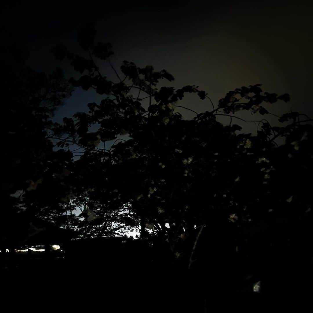 津田大介さんのインスタグラム写真 - (津田大介Instagram)「いまの心境はこんな感じ。光が見えないこともない、だがしかし……みたいな。」4月24日 3時18分 - tsuda