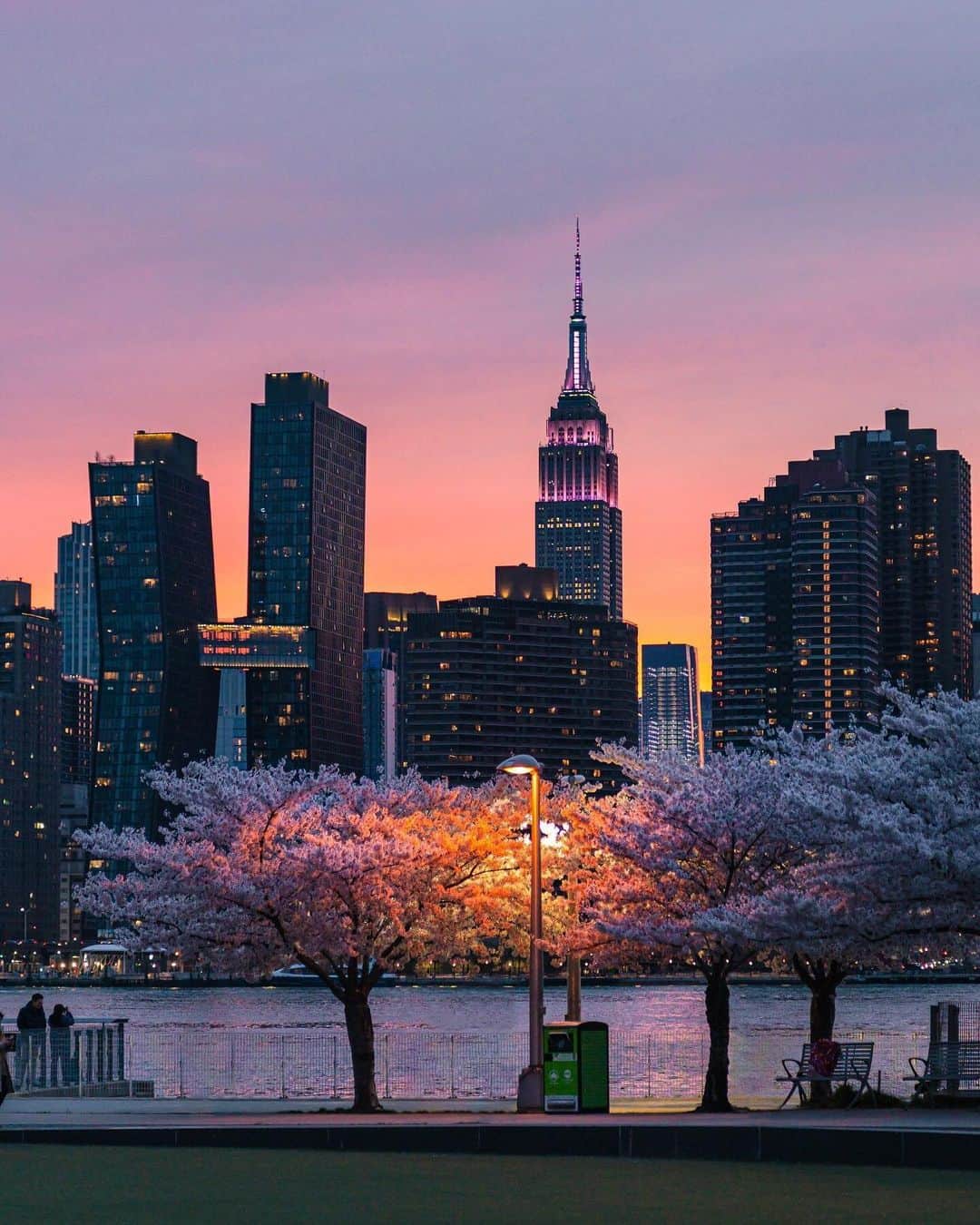 Empire State Buildingのインスタグラム：「I bloom just for you.   PC: @matt.ritchie」