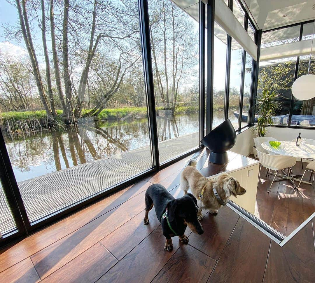 Crusoe the Celebrity Dachshundさんのインスタグラム写真 - (Crusoe the Celebrity DachshundInstagram)「“We moved on from Amsterdam to a houseboat in Giethoorn! Which has been a nice change of pace! And our houseboat even comes with a boat - so tomorrow we go exploring by boat!” ~ Crusoe」4月24日 4時12分 - crusoe_dachshund