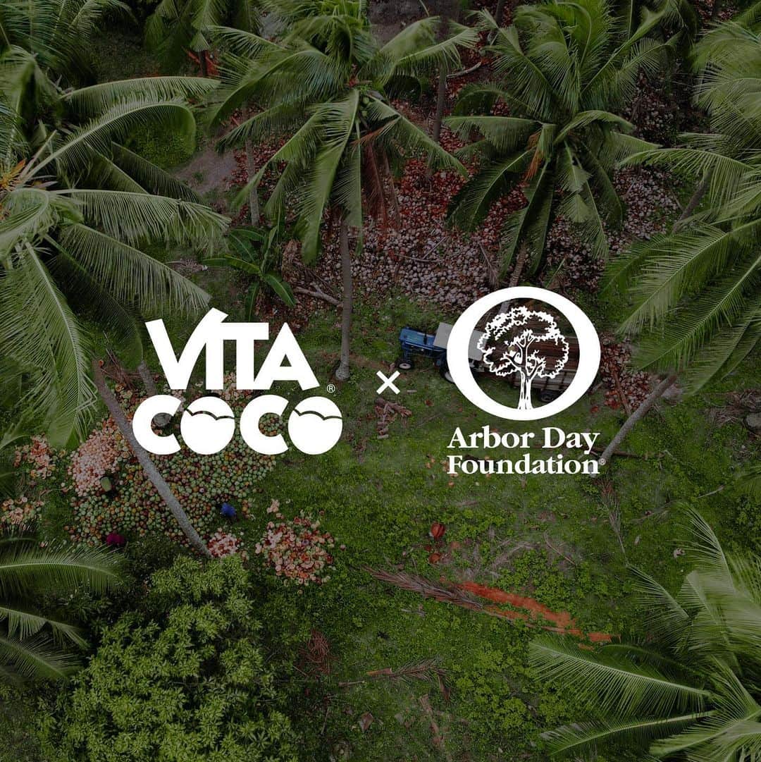 Vita Coco Coconut Waterのインスタグラム：「We’re partnering with our friends the @ArborDayFoundation to help support our Seedlings For Sustainability initiative that will plant 100,000 trees—one for each use of #ArborDay from April 23 through April 28. So say “Yes!” to Arbor Day and “Let’s go!” to greener planet when you post on social media to plant some trees! No shovel required.」