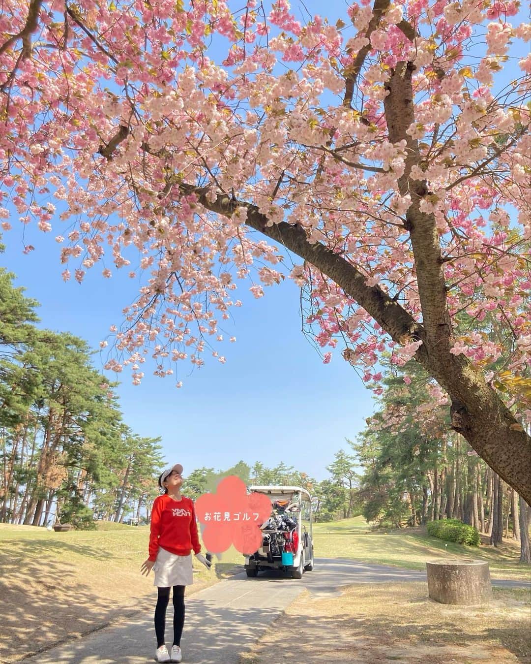 石塚かおりさんのインスタグラム写真 - (石塚かおりInstagram)「#八重桜#お花見ゴルフ  スコアはさておき…笑 八重桜があまりにきれいで感動。  ほんとは、お花を観ている余裕はないのですが笑  観ようと思わなくても迫ってくる美しさ。  良い季節！  明日からもがんばれそ。  #ソメイヨシノ からの八重桜 #お花見 #桜#新潟#ゴルフ場 #ゴルフうまくなりたい  #ゴルフ好きな人と繋がりたい  #初夏#土曜日 今日は#女子プロゴルファー #高橋彩華 選手応援してました #良い週末 #niceweekend  明日からの朝もあなたと #石塚かおりのbrandnewday  #ブラニュー#BSNラジオ #新潟放送 #朝活#アナウンサー #ゴルフ女子 #石塚かおり」4月23日 19時32分 - kaori_ishizuka413