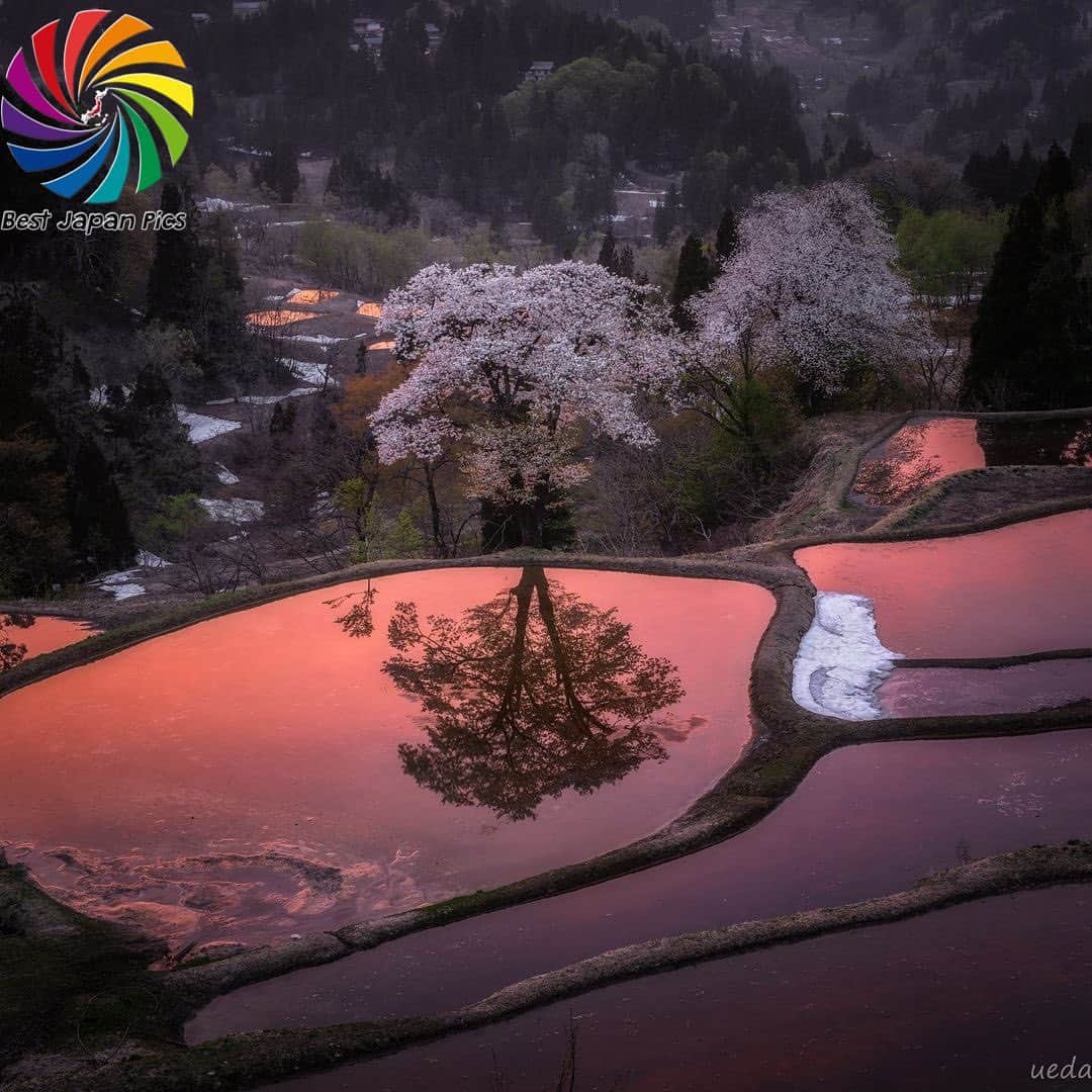 Follow & use #bestjapanpicsのインスタグラム：「＊---Today's Bestjapanpics---＊ . 👑Congrats to @meulac  素敵なお写真へのタグ付けありがとうございます✨ . 📷 Select by @waku_photography (Mod) 🗾 Location : 日本 📎 Category : #棚田 #春 #夕焼け  . . *Follow us @bestjapanpics_ . *Tag #bestjapanpics  . 撮影地の都道府県をキャプション・コメントタグ・ジオタグのいずれかに入れて下さい。 . @bestjapanpics_ では日本で撮られた素敵なお写真へのタグ付けをお待ちしています✨ . Select the amazing photos every day. ダグ付けをして頂い投稿の中から 素晴らしい写真を選出させていただきます。 . . 🤝Friend hub @factory_shotz 工場の写真 @setouchi_gram 瀬戸内の魅力を . . #japan #photo #camera #landscape #nature #portrait  #日本 #写真 #カメラ #風景 #自然 #ポートレート」