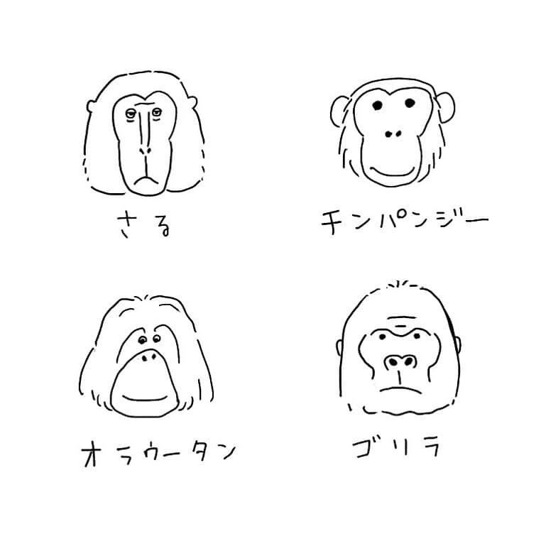 ハルペイさんのインスタグラム写真 - (ハルペイInstagram)「🤔 さあ、描いて練習してみよう〜😄✨✨✨✨✨ これ、私も難しいわ😂💦💦 似てるような、全然違うような💦 #急に始まる #お絵かき教室  #開催中 #🐒#monkey  #動物イラスト   #sketch#sketchbook #watercolor  #harupei#ハルペイ#doodle#draw#drawing#illustrator#illustration#japan#絵#雑貨#湘南#イラスト#イラストレーター#插畫#插畫家#ゆるい#茅ヶ崎」4月23日 19時55分 - harupeipei