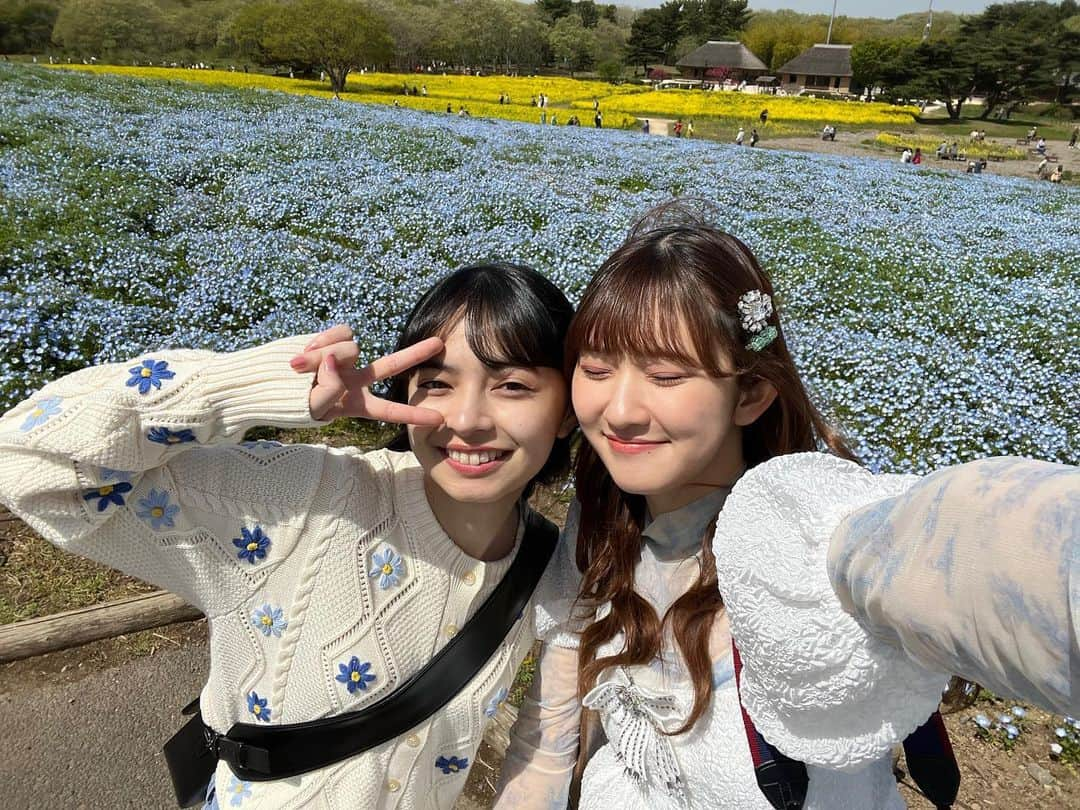 川村文乃のインスタグラム：「この間上國料さんと 国営ひたち海浜公園へ行ってきました🌷  #ANGERME#アンジュルム#川村文乃#上國料萌衣#かわむかめら」