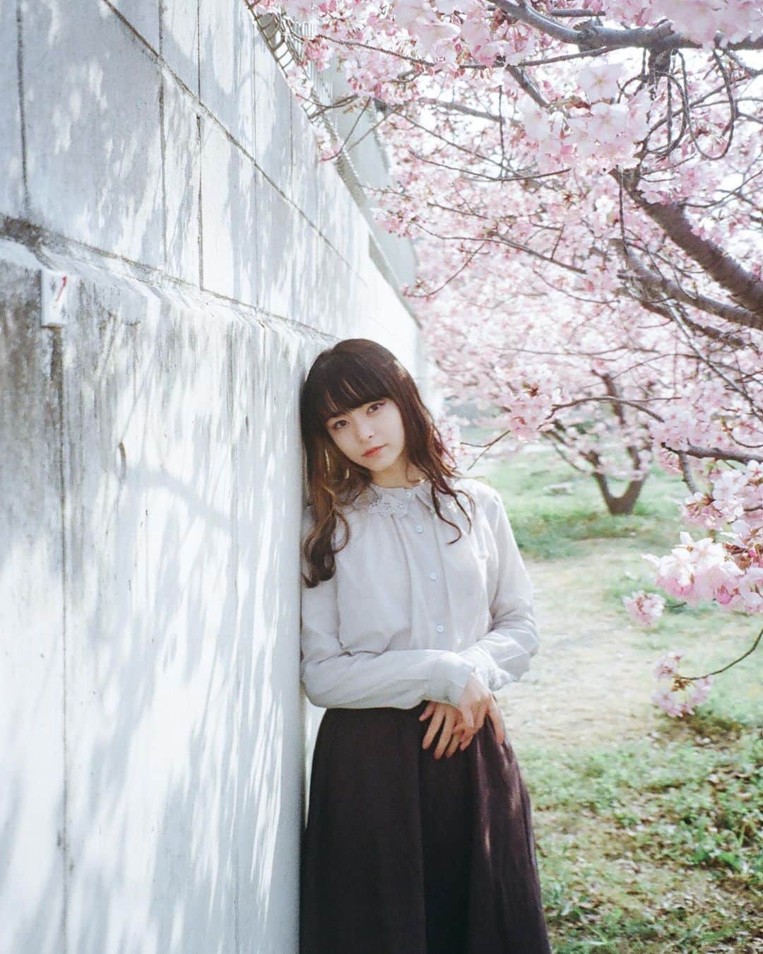 Yuma Takatsukiのインスタグラム：「. . . film × sakura . . . . . . 春のフィルムが返ってきた。 ちょっと季節はぎりぎりかもしれないけど まぁフィルムなのでいいよね！ ⁡ それでは今日もお疲れさまでした！ . Kyoto／Japan . #フィルムカメラで残す日常  . ―――――――――――――――――――――――――― 関西を中心にフリーランスで活動しています。 Web広告、個人撮影、家族撮影、PR撮影など、 4月以降の撮影依頼募集中です。 ⁡ ⁡Yuma Takatsukiオリジナルプリセットも販売中です。 ⁡プロフィールのポートフォリオサイトからご覧下さい。  またフォトサークルITTOKOという活動をしています。 ⁡ハイライトに色んなイベントをまとめています。 ――――――――――――――――――――――――――」