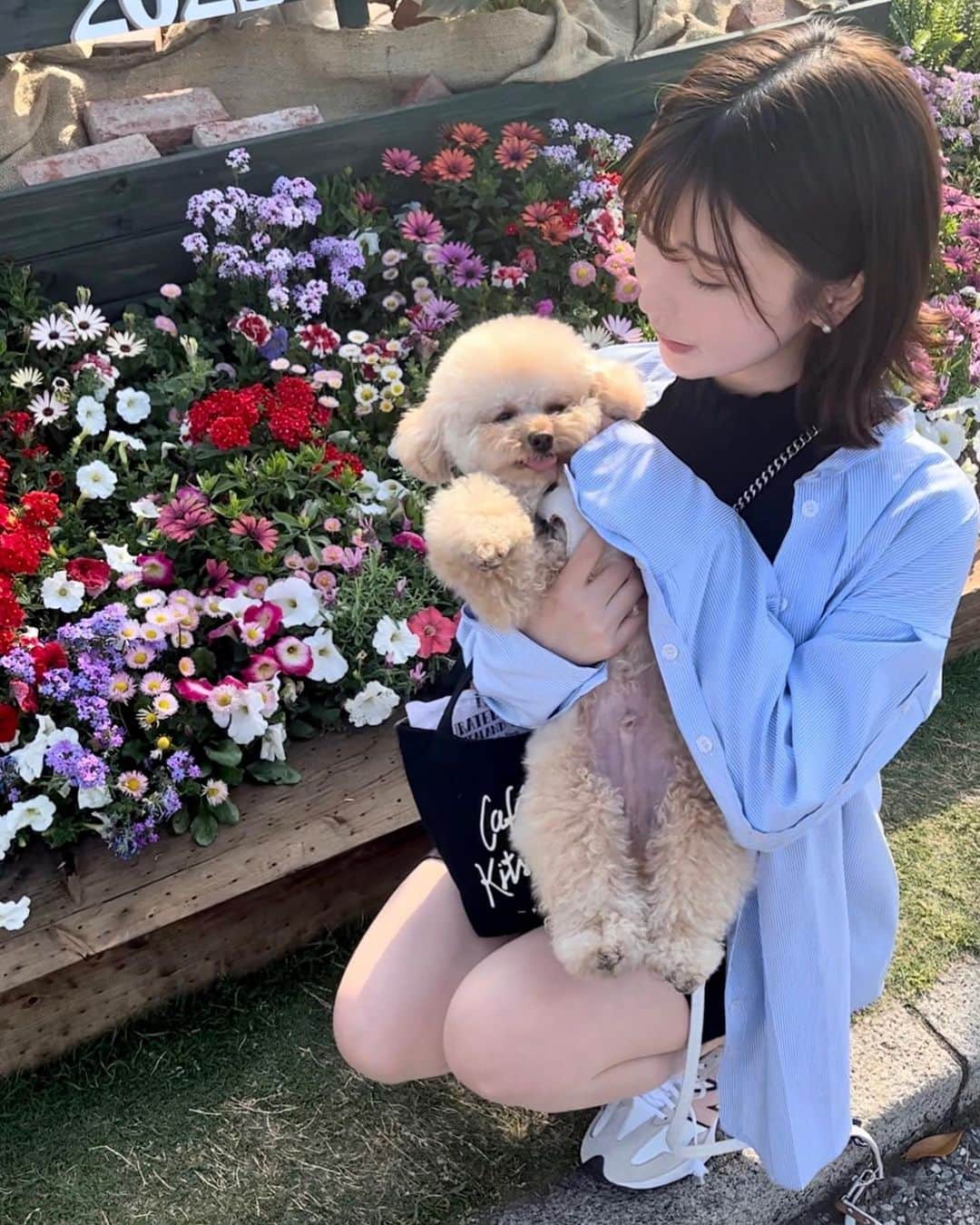木南美々のインスタグラム：「⁡  天気がよかったのでお散歩しました🐾  また明日から始まる一週間も 元気にがんばろう〜！むりなくね𓂃𓈒𓏸︎︎︎︎ 🕊 ⁡ #グラドル #グラビア #グラビアアイドル #グラドル自画撮り部 #水着 #撮影会 #gruvure #bikini #bikinigirl #japanesegirl」