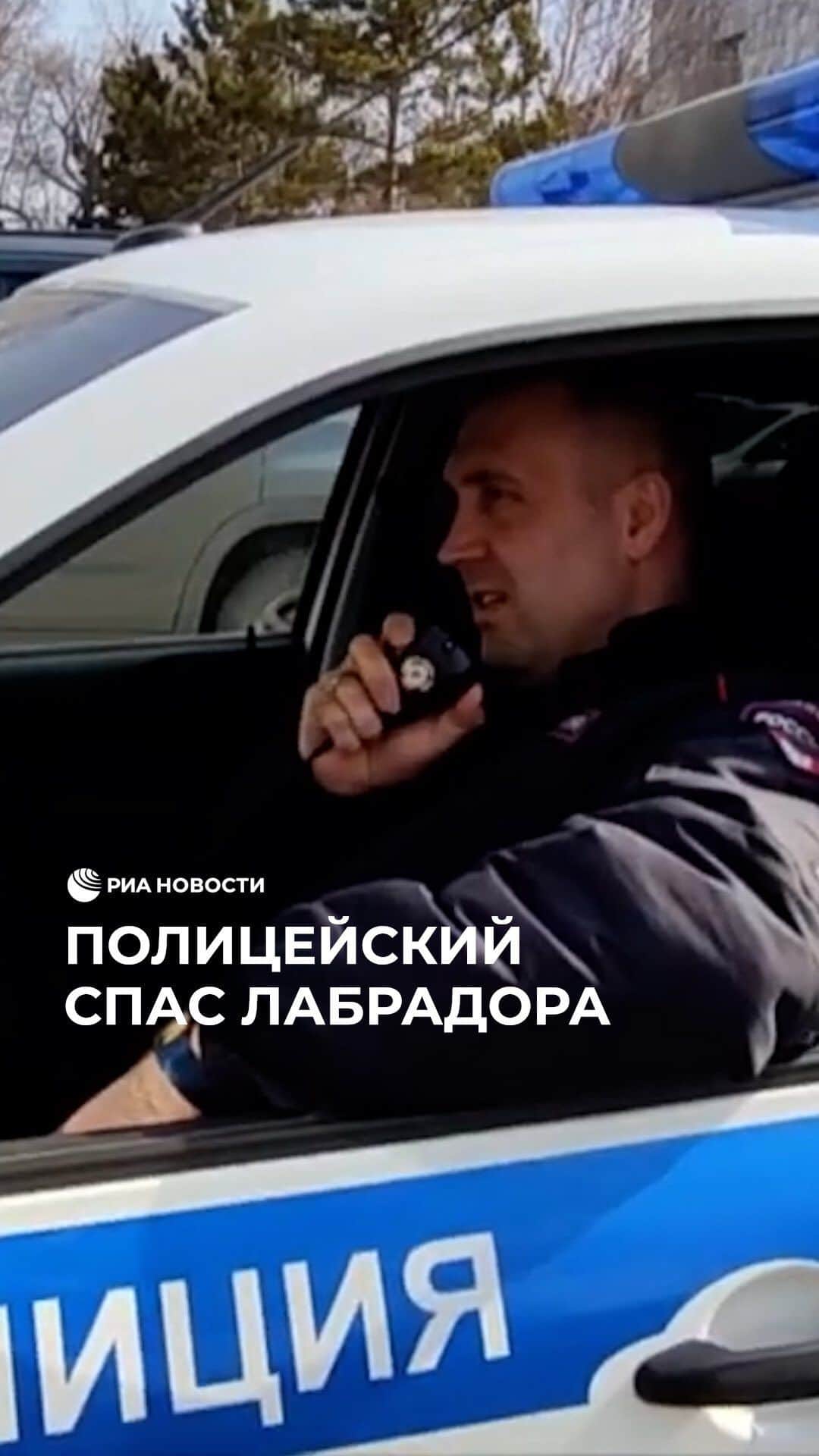 RIAノーボスチのインスタグラム：「В Новокузнецке полицейский доставил больную собаку в ветклинику. Во время ночного дежурства Александр Гринчук увидел, что водитель подает ему сигналы фарами. За рулем была женщина, которая попросила Александра о помощи. Она рассказала, что везет своего больного пса Ричи в ветклинику и попросила доехать с ней. Полицейский сопроводил женщину до больницы и помог донести собаку до врача. Благодаря отзывчивости и неравнодушию Александра собаку удалось спасти.」