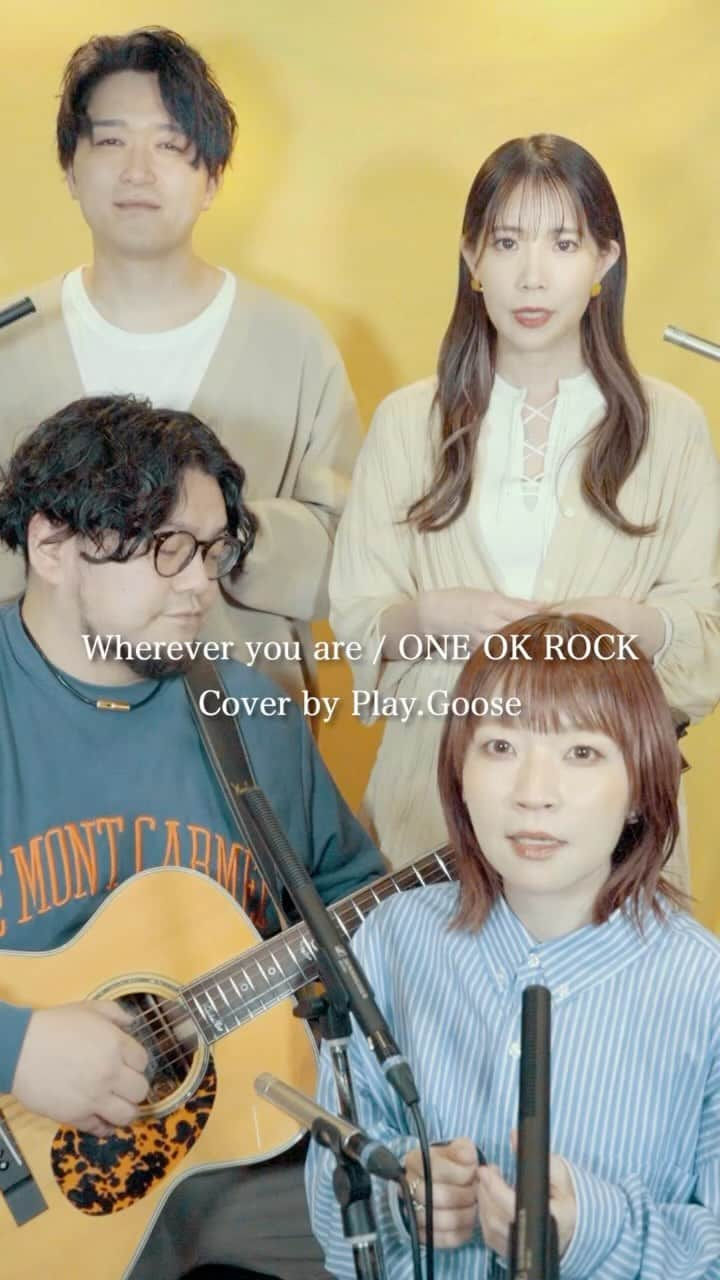 Play.Gooseのインスタグラム：「Wherever you are / ONE OK ROCK (Cover）  #PlayGoose #instamusic #cover #Whereveryouare #oneokrock  #acoustic #goosehouse #goose #goose7 #song　#music #sing  #voice #guitar  @kkshuhei @sayaka_512 @wasshustagram @manamimushiii」