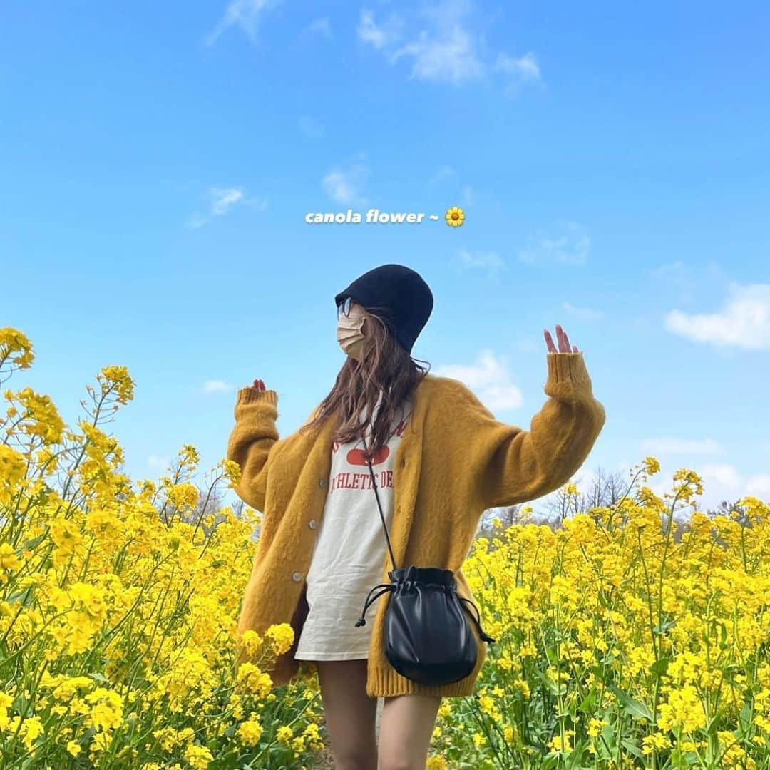 AYAKAのインスタグラム：「ㅤ  ㅤ菜の花畑に行ってきたヨ🌼*･  風強かったし🍃一瞬天気悪かったけど 綺麗でした～（っ ‘ ᵕ ‘ ｃ）💞  ㅤ  ㅤ #菜の花畑 #菜の花ロード #春コーデ  #今日のコーデ #todaystyle #ootd #code #springfashion #springday  #イエローコーデ #yellowflowers   ㅤ」