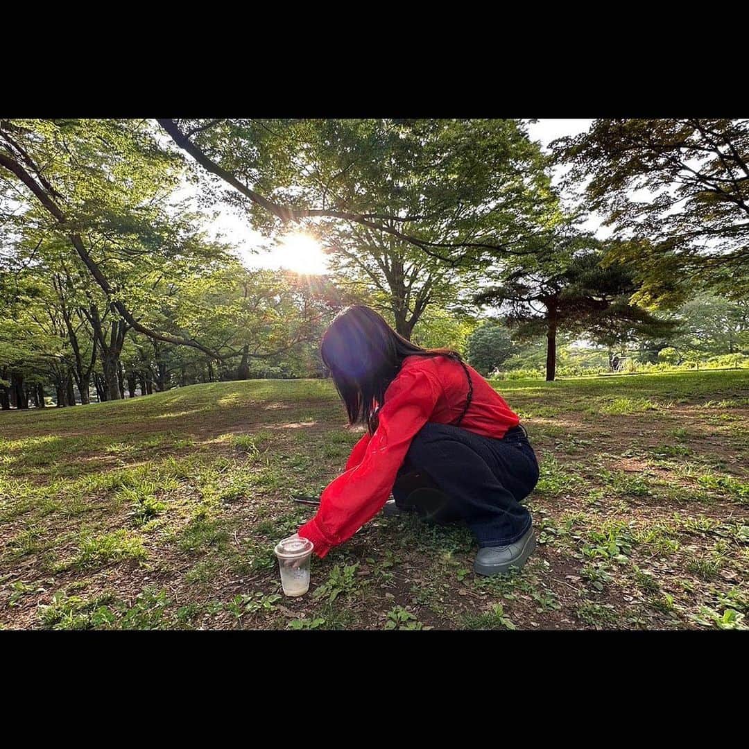 大島涼花のインスタグラム：「最近のハイライト💫✨⚡️  1 四つ葉探すふりしてる人 2 本気で探そうと意気込んだ5秒後 3 写真撮る前に食べちゃったクレープ 4 炊き立ておにぎり、手のひら火傷付 5 ココに半分以上枕取られた図 6 いつメン⭐︎  の6本でお送りしました。 さ、明日からまた1週間がんばりましょう！ 早寝しよう、おやすみなさい。」