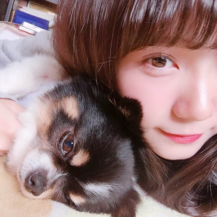 小瀬黎奈さんのインスタグラム写真 - (小瀬黎奈Instagram)「🌈🫧 . . みんなから可愛がられて愛されているモコ 沢山の癒し幸せ、愛をありがとう。  小さい体ながらでも強くて逞しくて 14年3ヶ月も長生きしてくれてありがとう。沢山頑張ったね🐶⭐️  そして我が家へ来てくれて家族になれたことが本当に幸せです！！ 天国でも元気に走り回ったり美味しいもん食べて幸せでいてね。  また会おう！！これからもずっと大好き愛してる🫶🏻❤︎ . . 🐄🤍」4月23日 21時27分 - 922_reina
