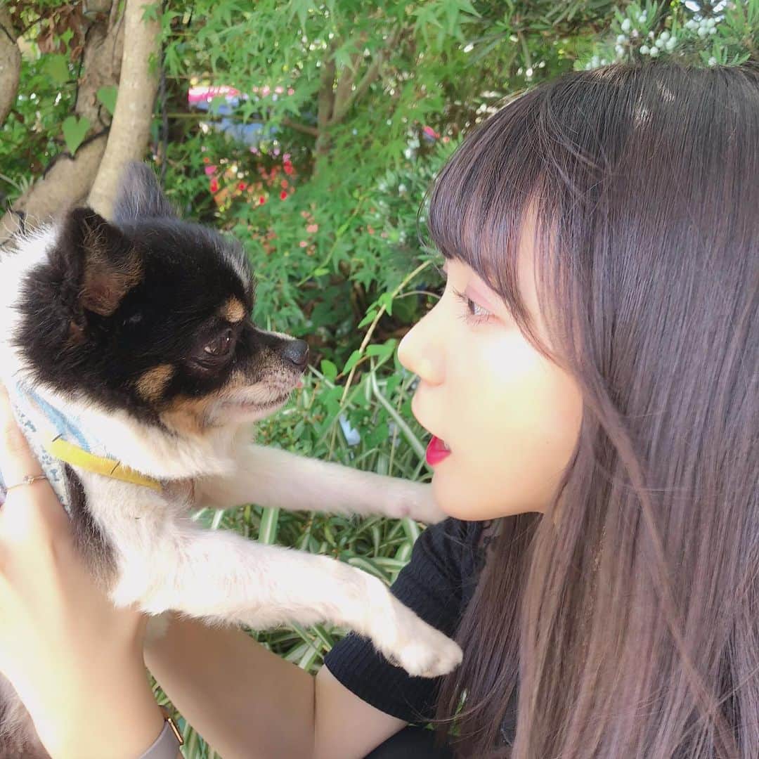 小瀬黎奈さんのインスタグラム写真 - (小瀬黎奈Instagram)「🌈🫧 . . みんなから可愛がられて愛されているモコ 沢山の癒し幸せ、愛をありがとう。  小さい体ながらでも強くて逞しくて 14年3ヶ月も長生きしてくれてありがとう。沢山頑張ったね🐶⭐️  そして我が家へ来てくれて家族になれたことが本当に幸せです！！ 天国でも元気に走り回ったり美味しいもん食べて幸せでいてね。  また会おう！！これからもずっと大好き愛してる🫶🏻❤︎ . . 🐄🤍」4月23日 21時27分 - 922_reina