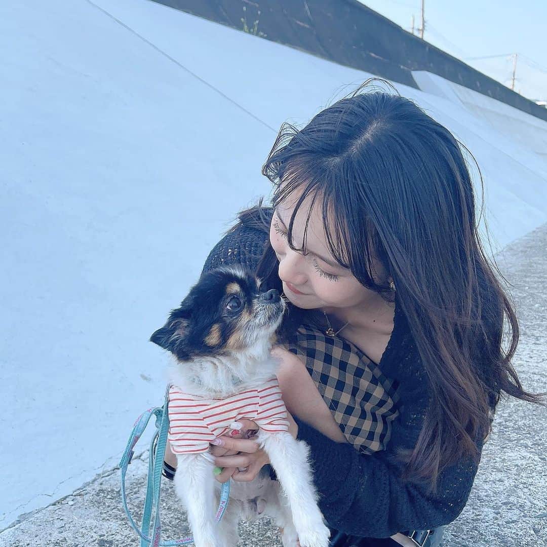 小瀬黎奈さんのインスタグラム写真 - (小瀬黎奈Instagram)「🌈🫧 . . みんなから可愛がられて愛されているモコ 沢山の癒し幸せ、愛をありがとう。  小さい体ながらでも強くて逞しくて 14年3ヶ月も長生きしてくれてありがとう。沢山頑張ったね🐶⭐️  そして我が家へ来てくれて家族になれたことが本当に幸せです！！ 天国でも元気に走り回ったり美味しいもん食べて幸せでいてね。  また会おう！！これからもずっと大好き愛してる🫶🏻❤︎ . . 🐄🤍」4月23日 21時27分 - 922_reina